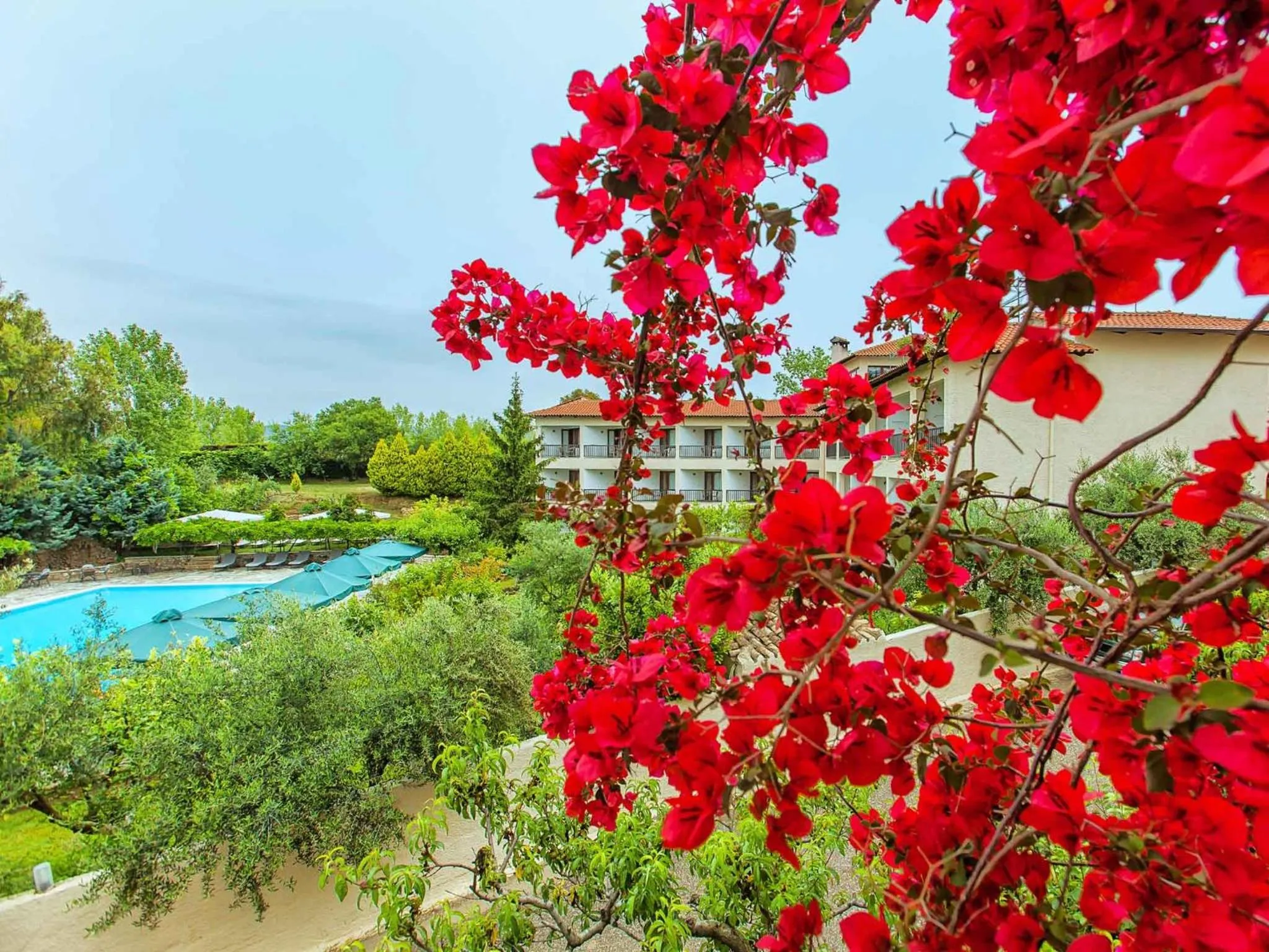 Garden in Hotel Europa Olympia
