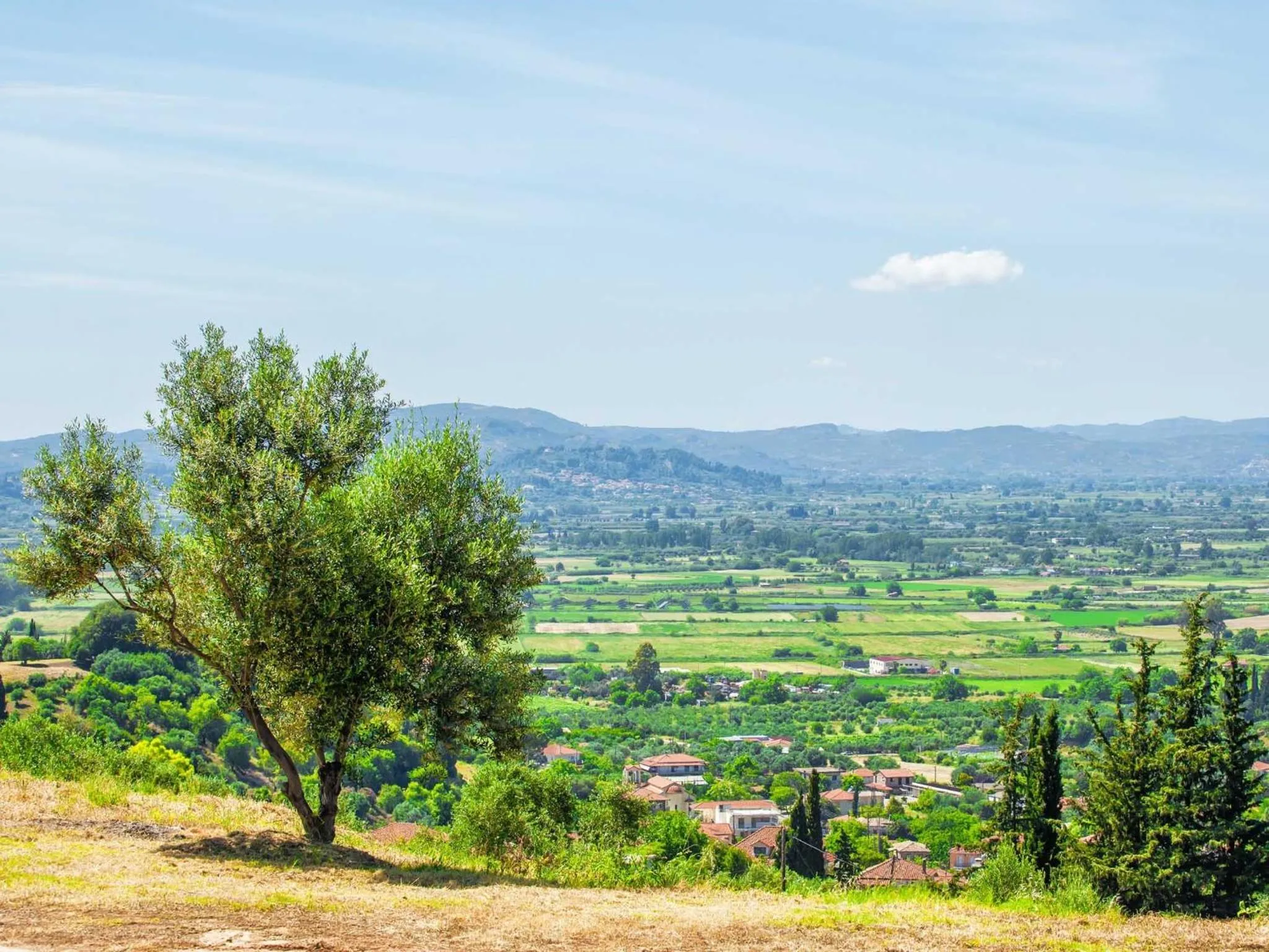 Area and facilities in Hotel Europa Olympia