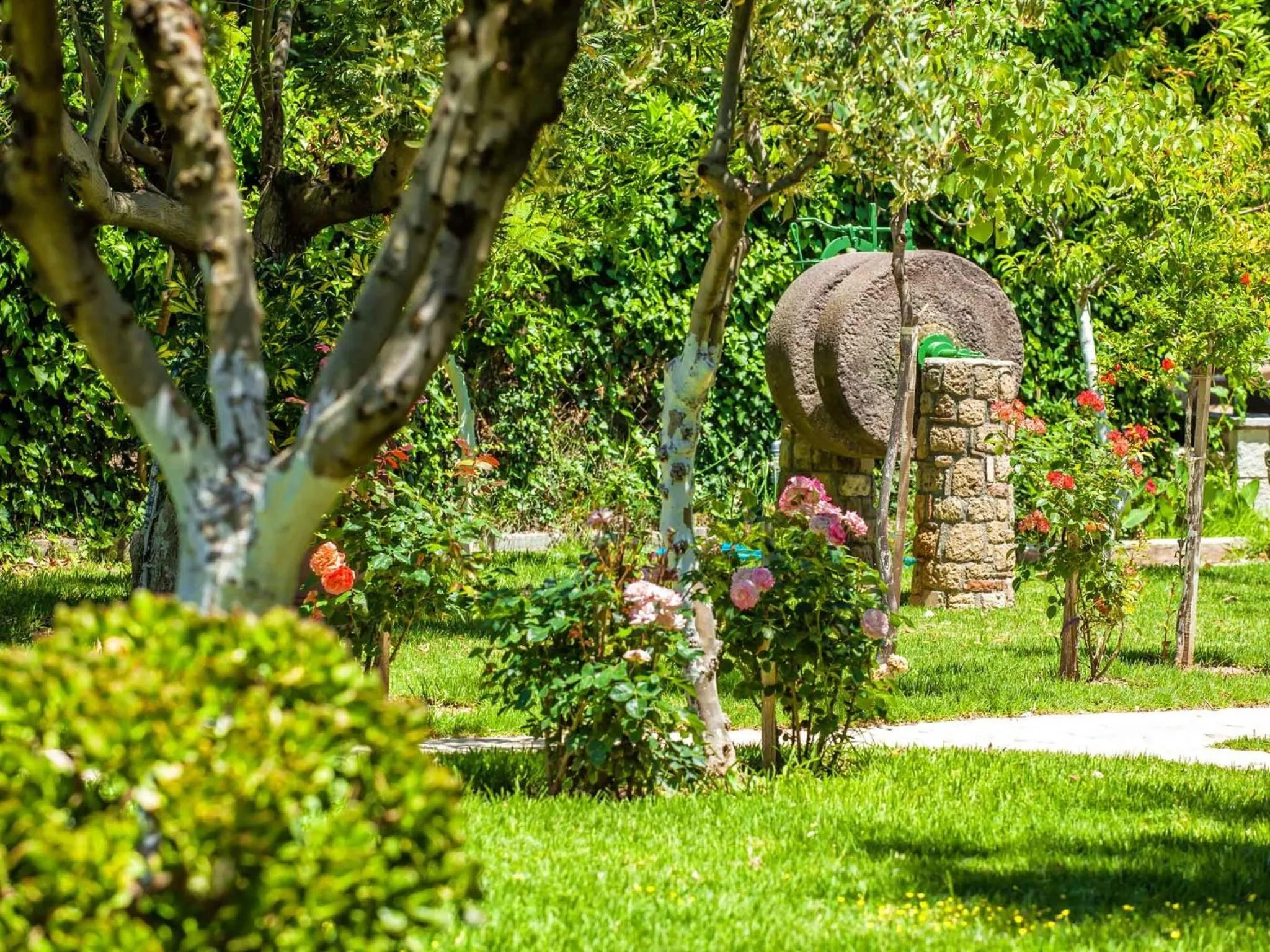 Garden in Hotel Europa Olympia