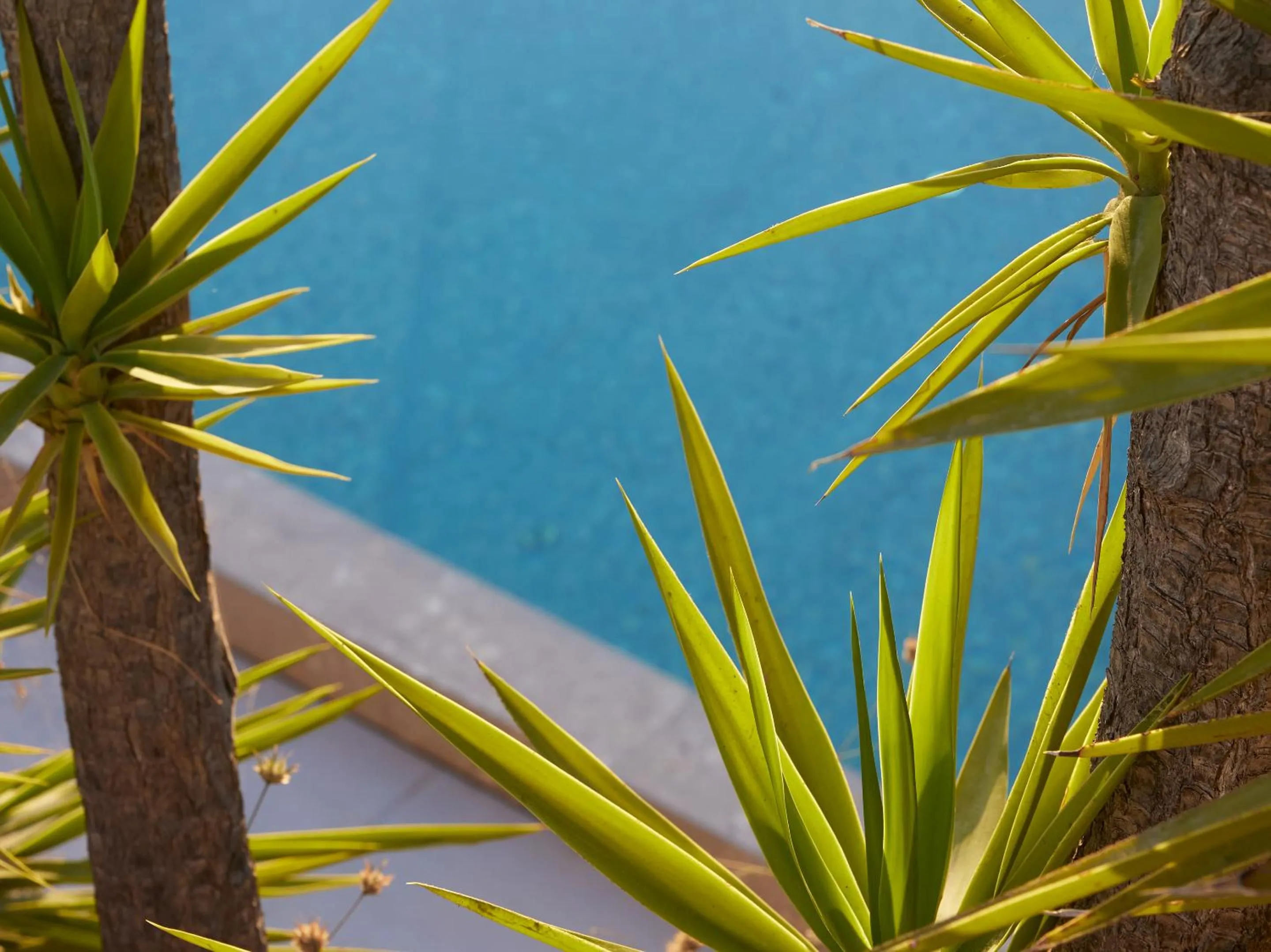 Swimming pool in Vouliagmeni Suites
