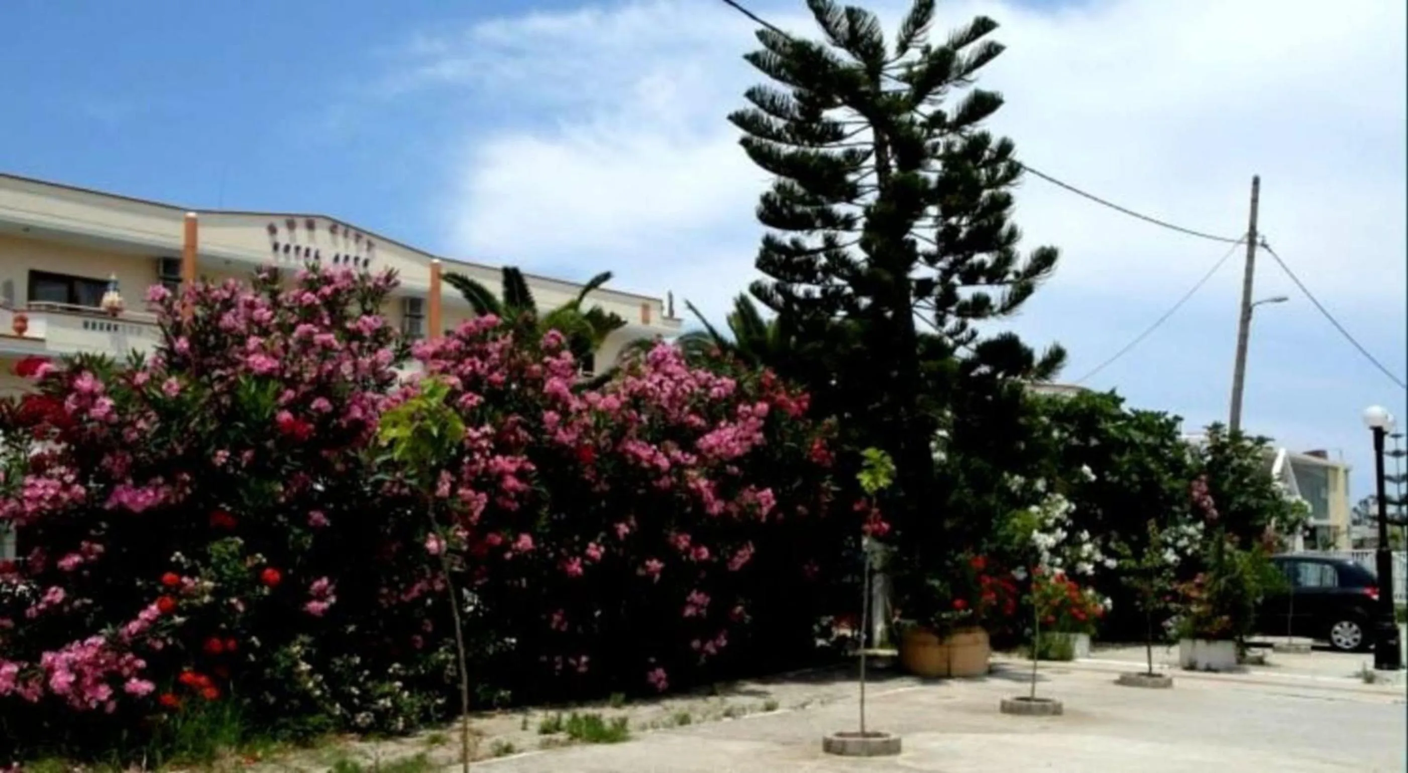 Area and facilities in Sun City