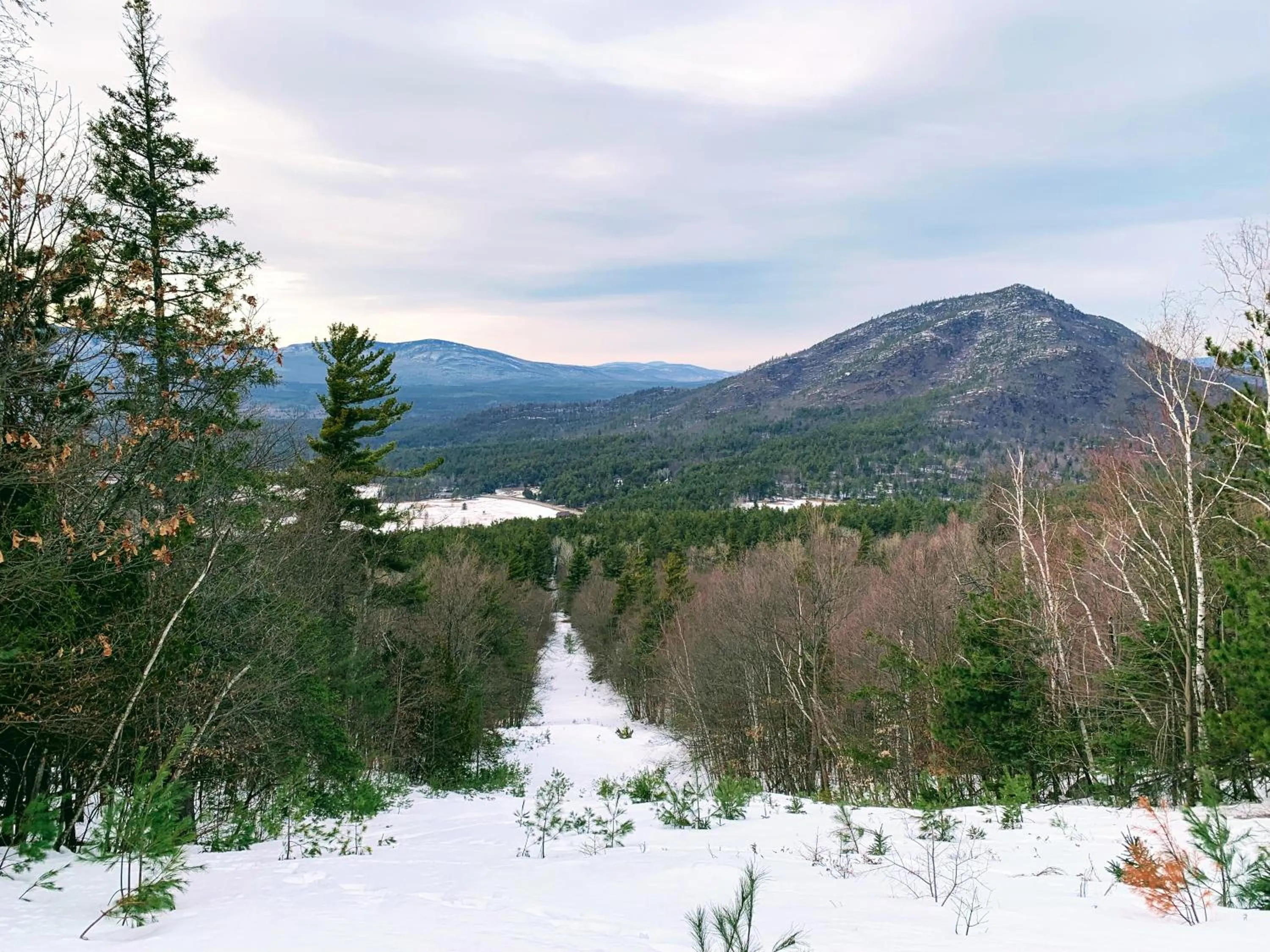 Mountain view in NewVida Preserve