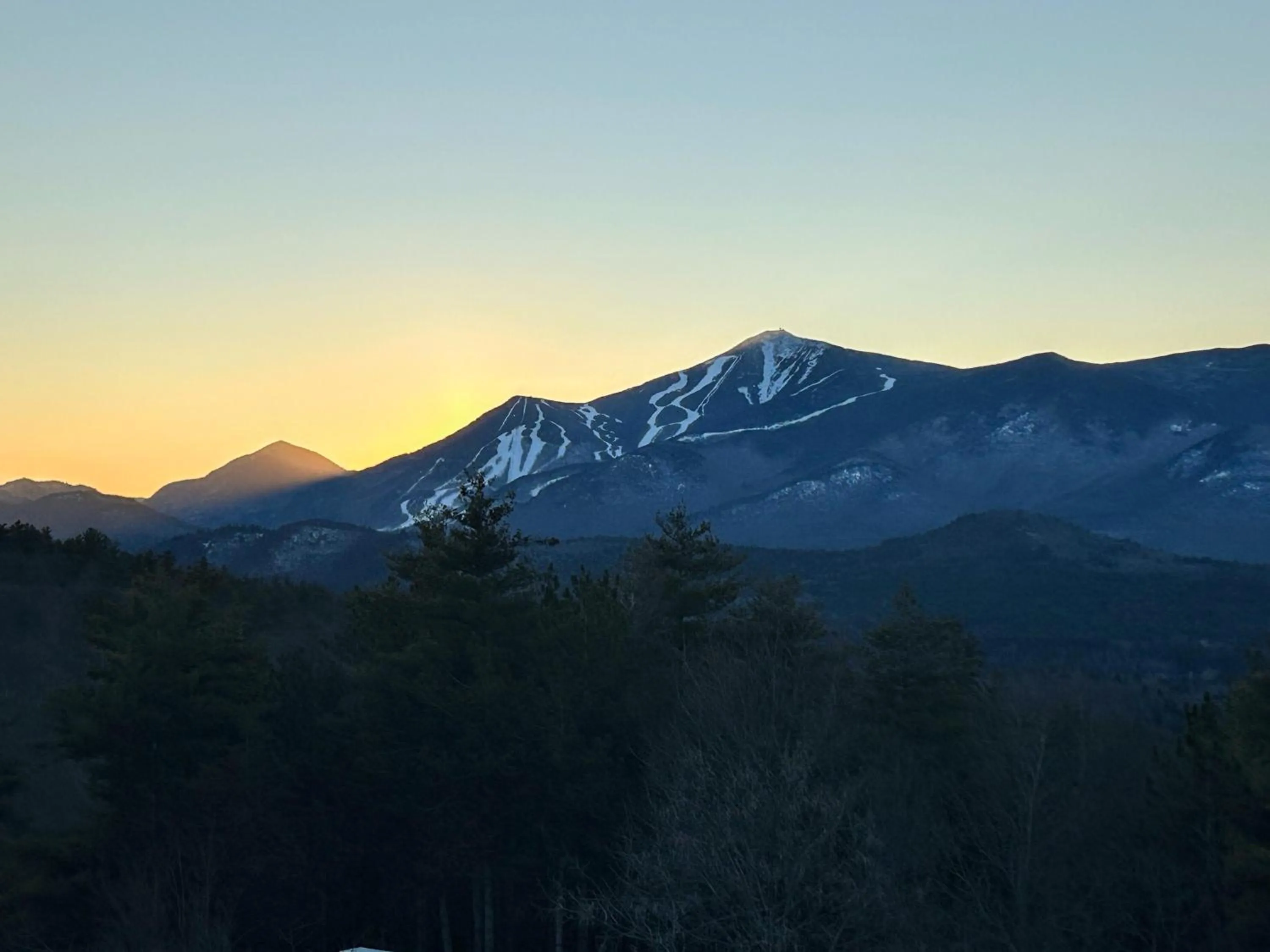 View (from property/room) in NewVida Preserve