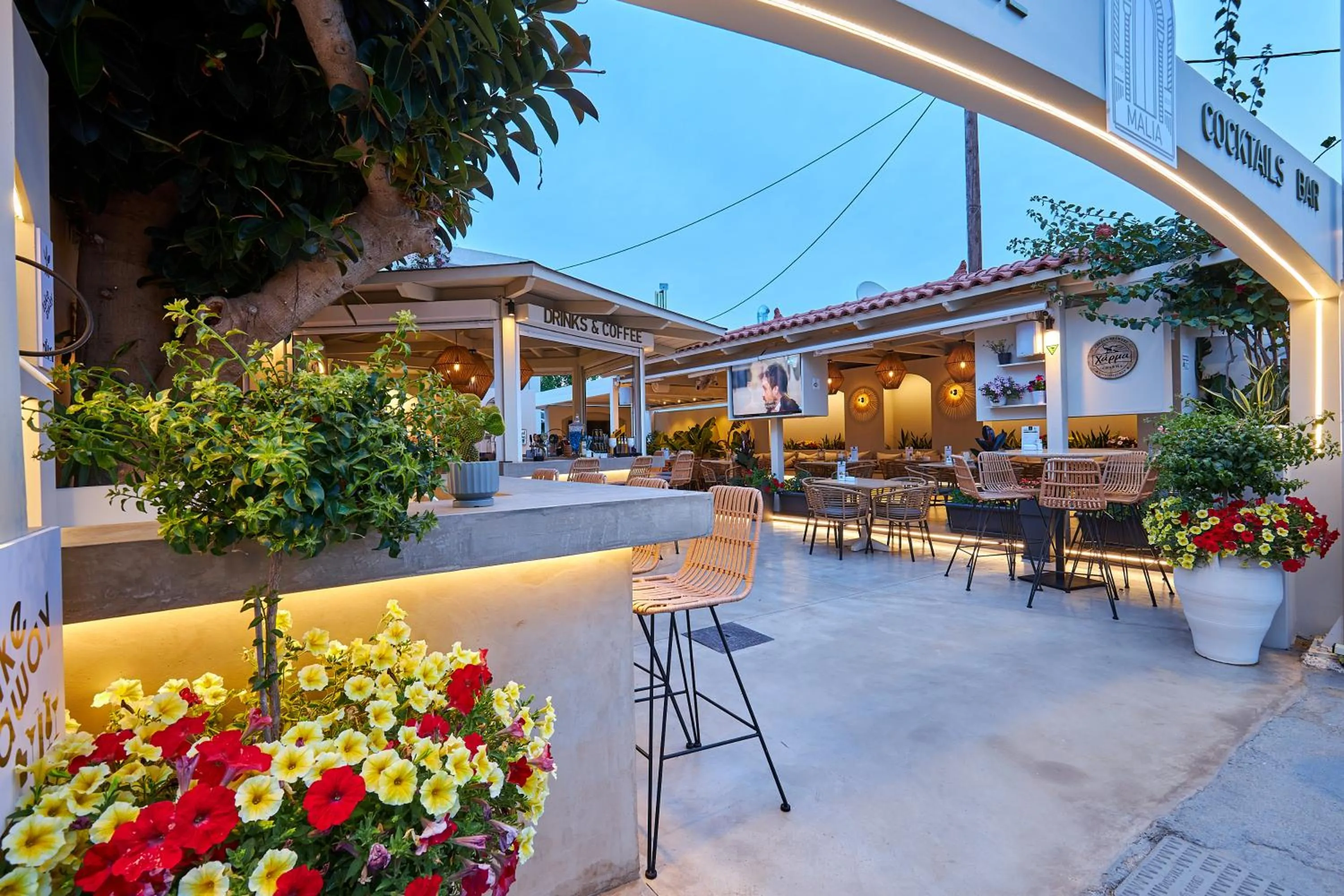 Lounge or bar in Mila Malia Studios Hotel