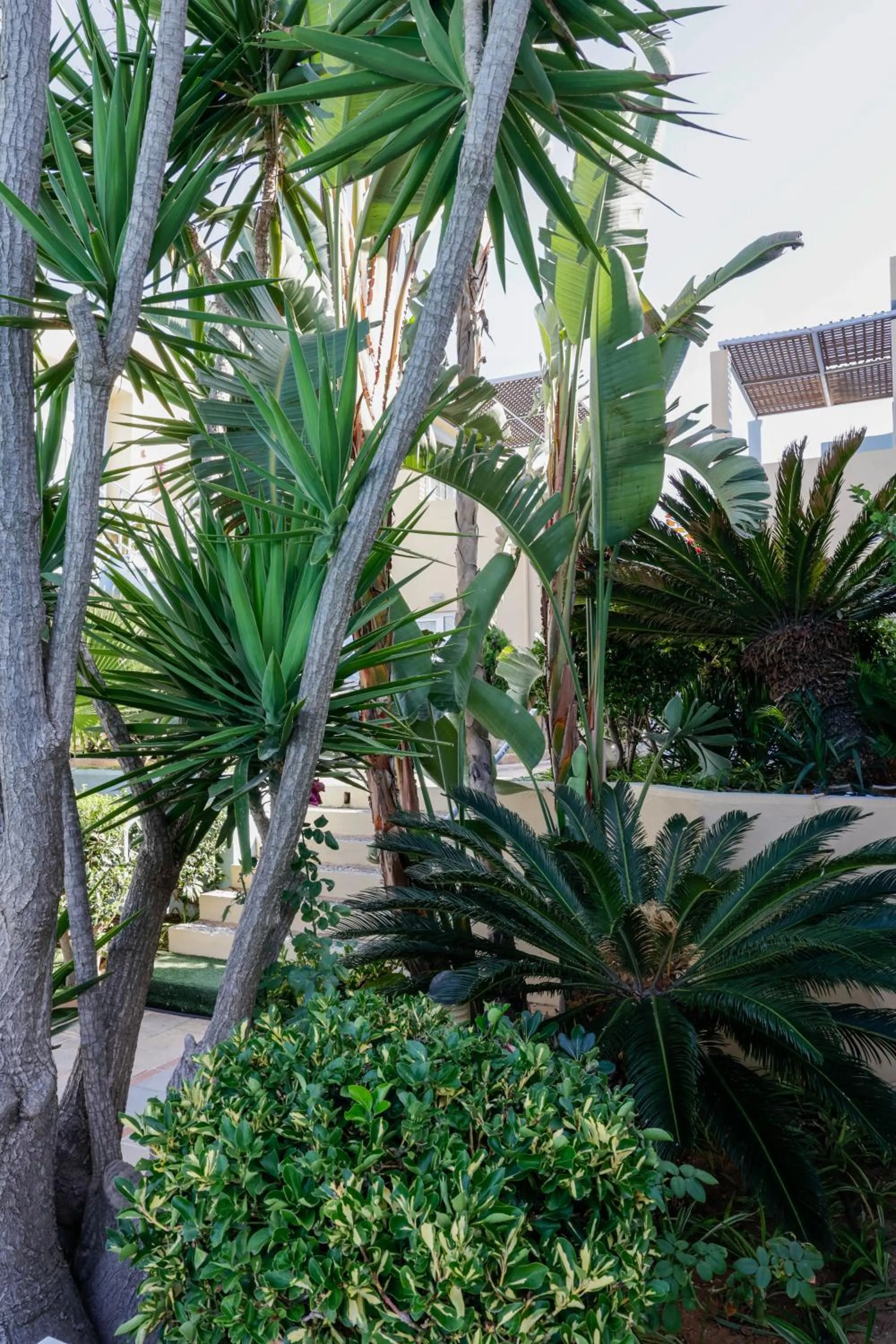 Garden in Futura Hotel