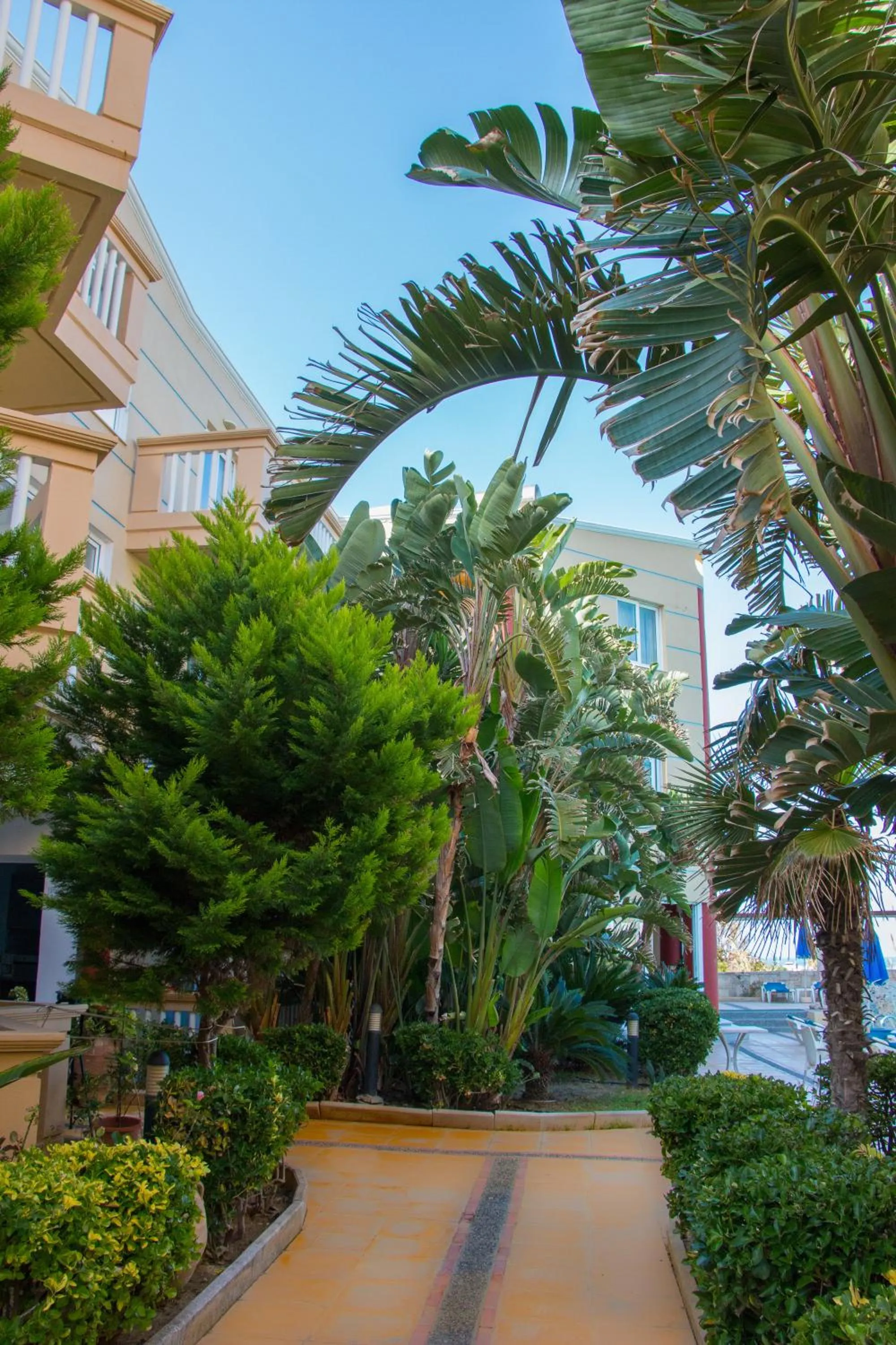 Natural landscape in Futura Hotel