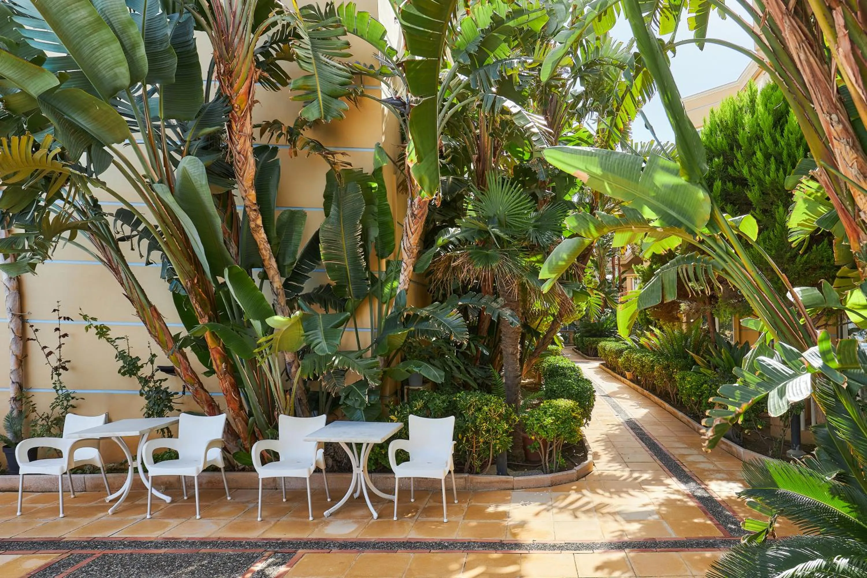 Garden view in Futura Hotel