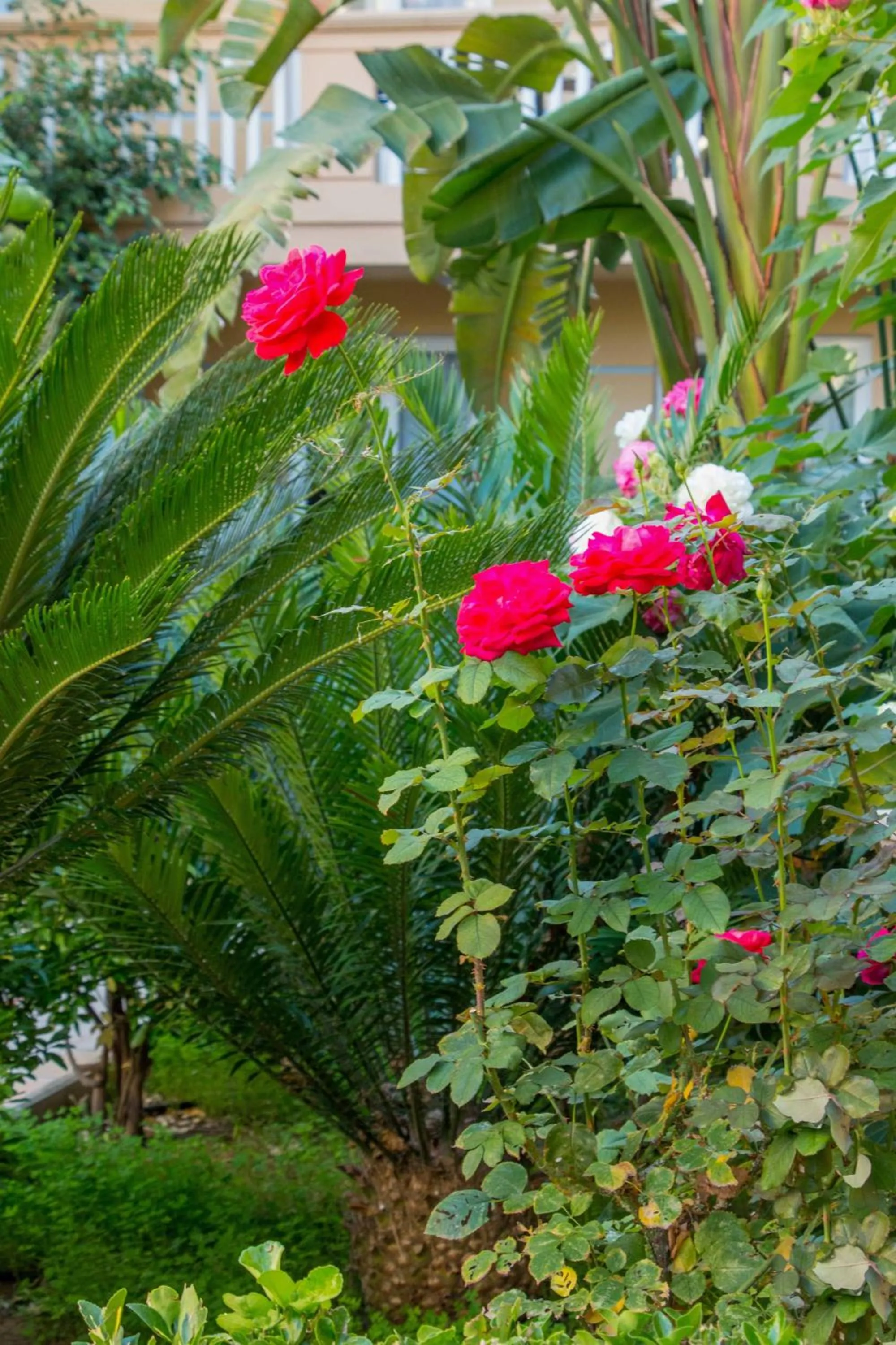 Property building in Futura Hotel