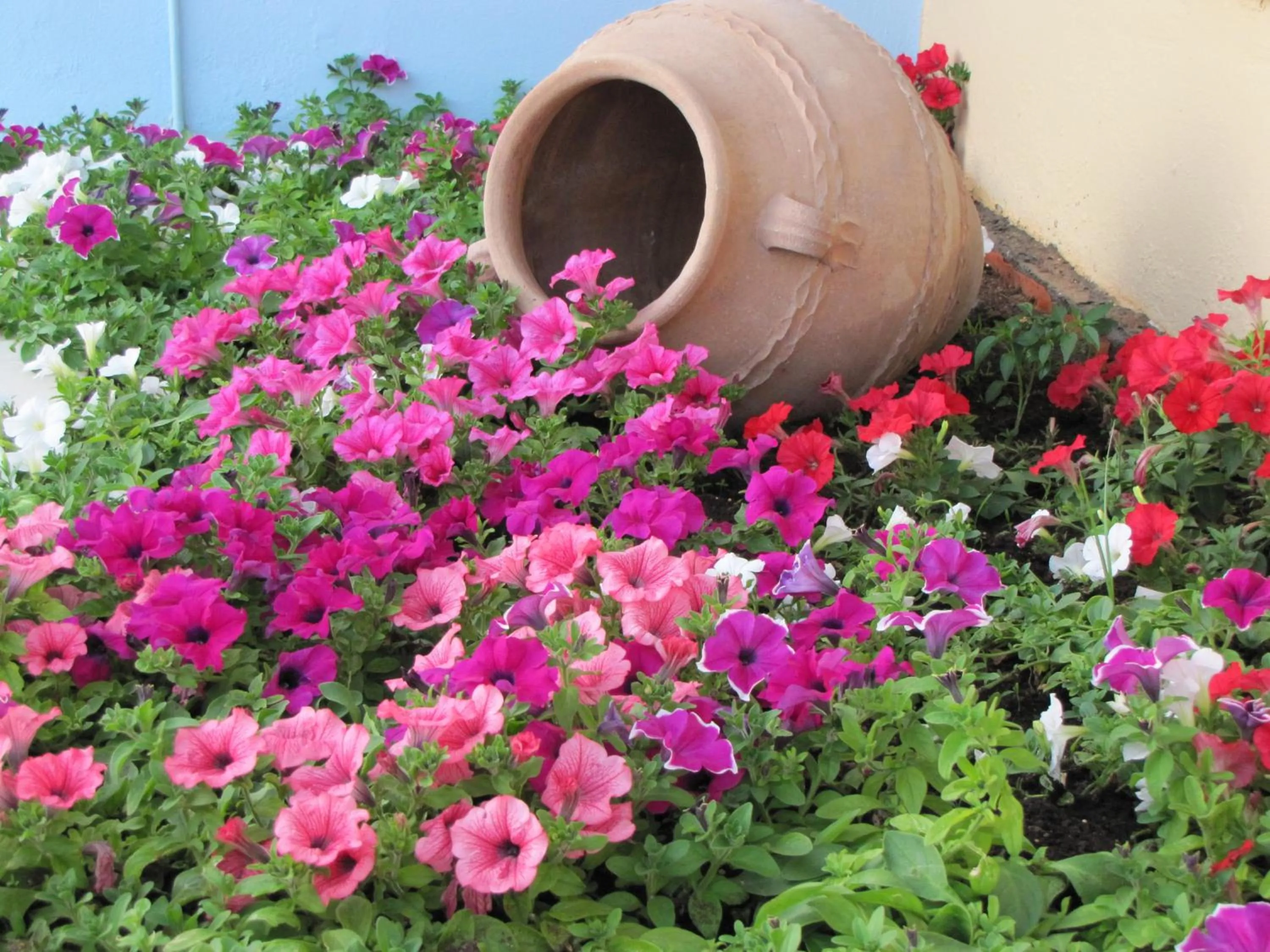 Property building in Futura Hotel