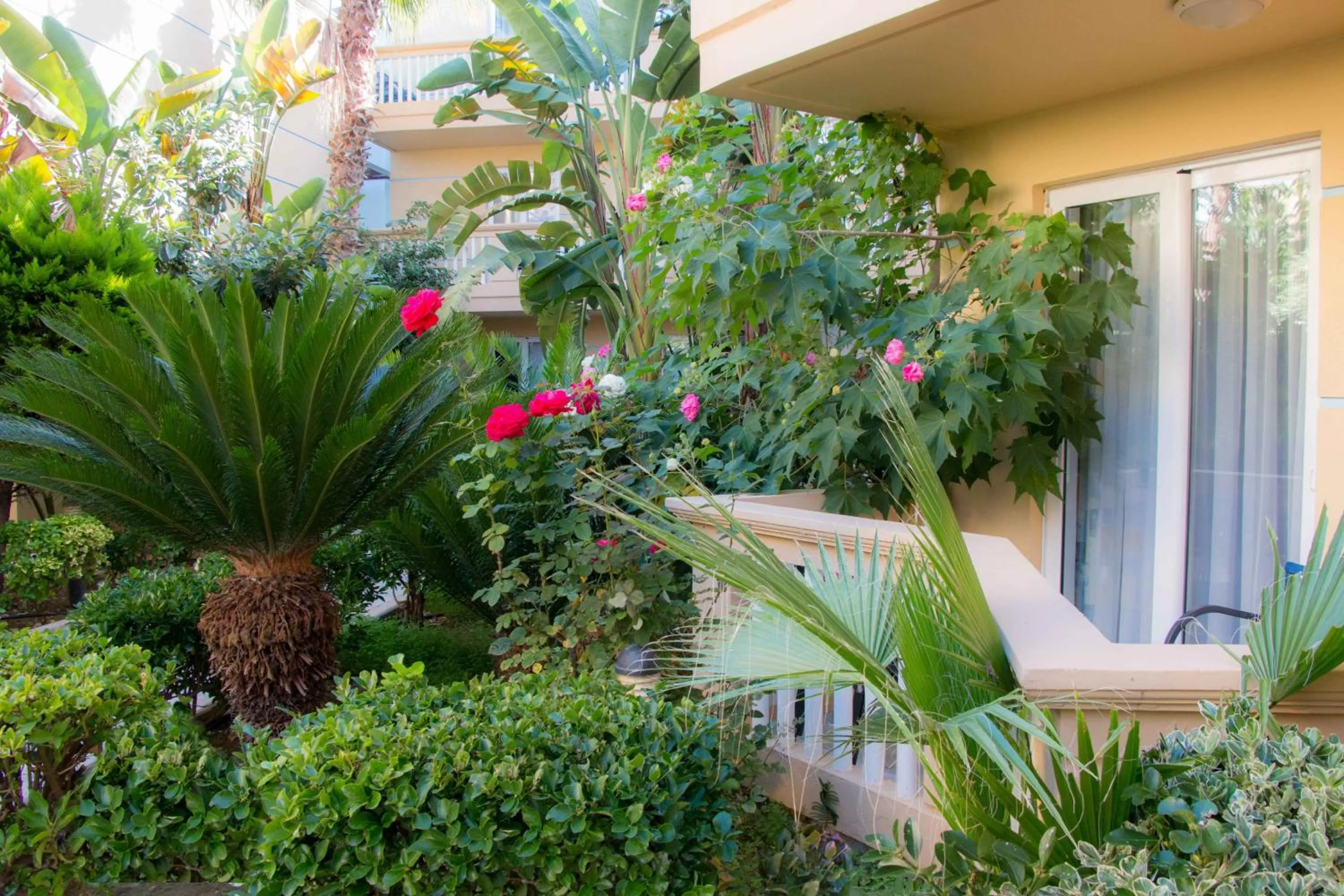 Property building in Futura Hotel