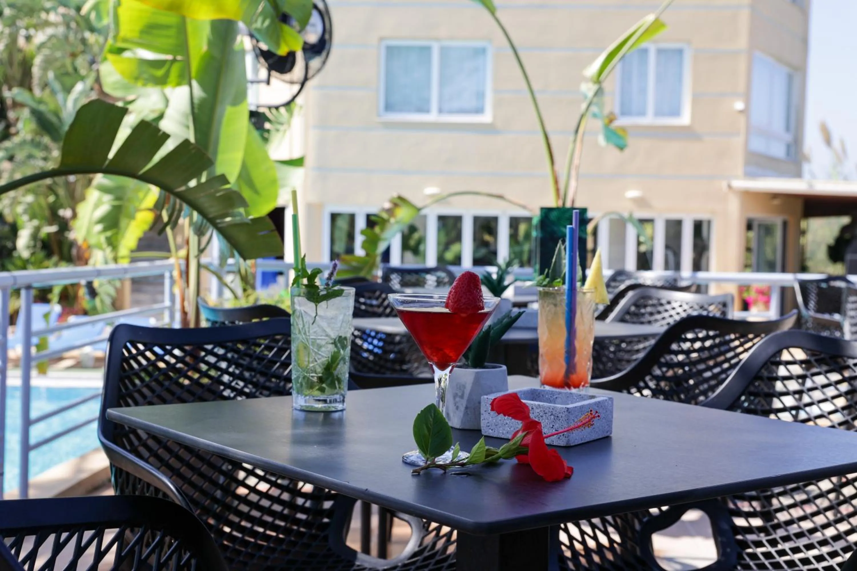 Drinks in Futura Hotel