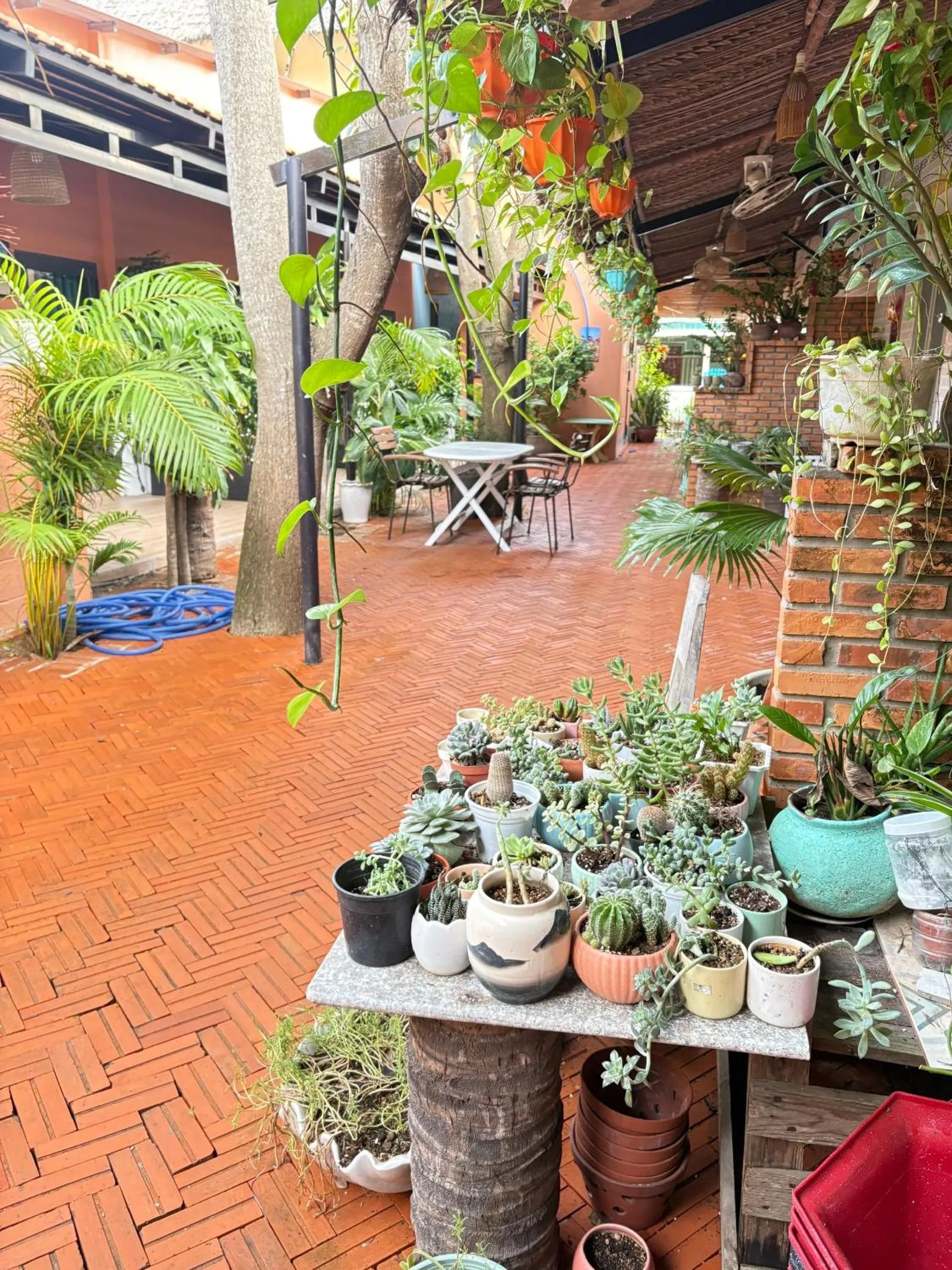 Mi Nhon Em Hotel Muine