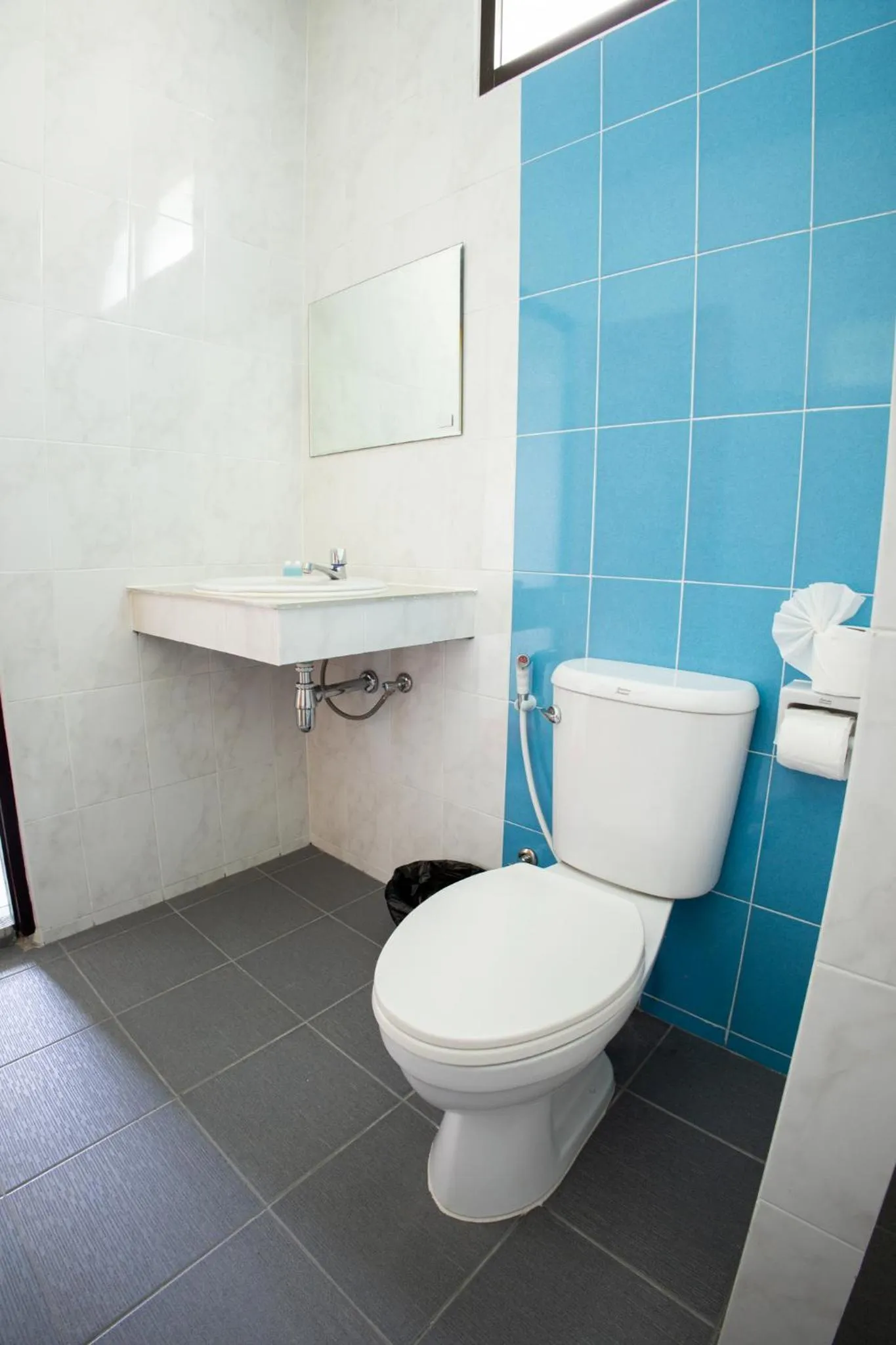 Toilet in Grand View Premium