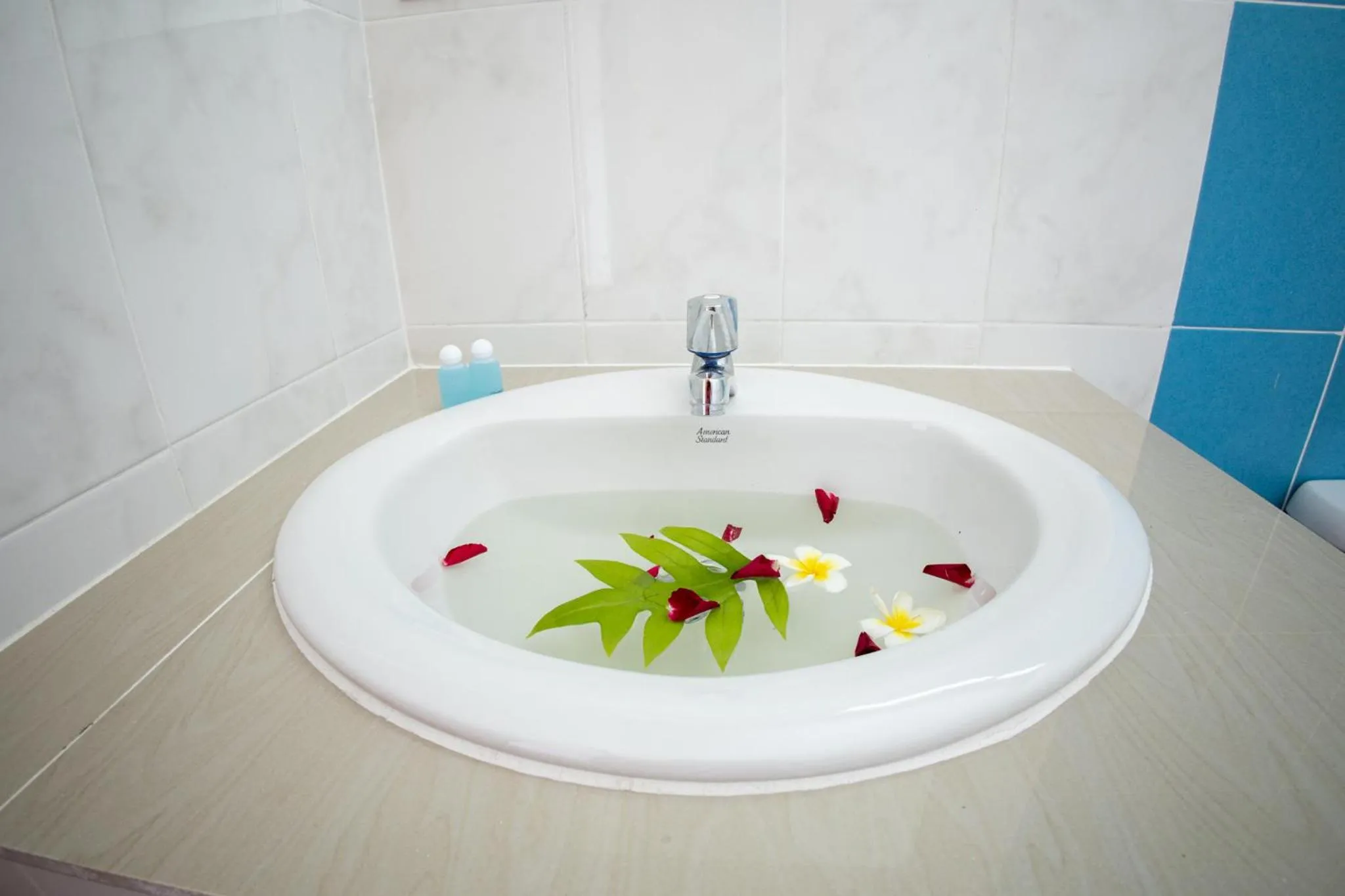 Bathroom in Grand View Premium