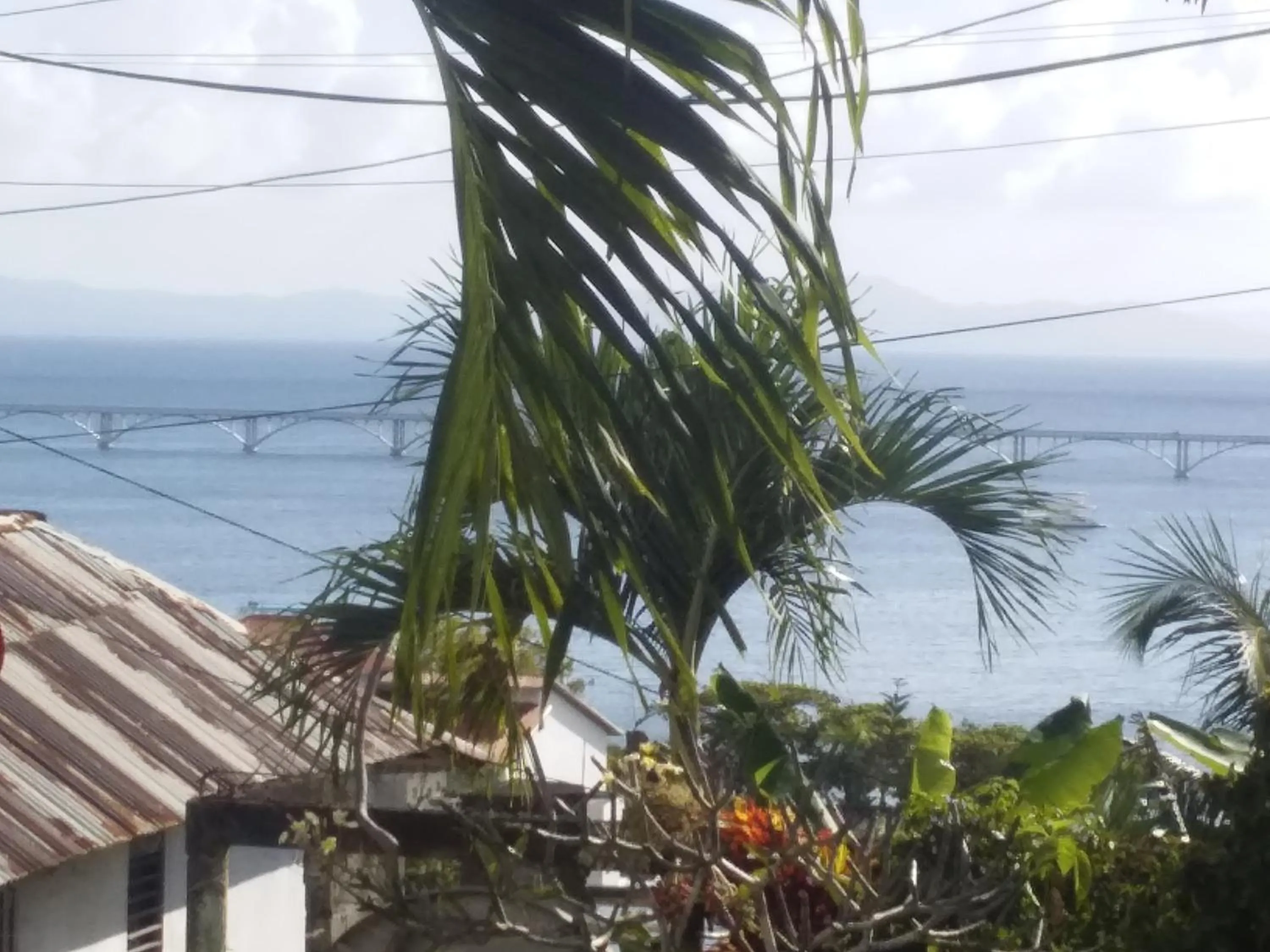 Summer in Best bed and breakfast in Samana Breakfast Included