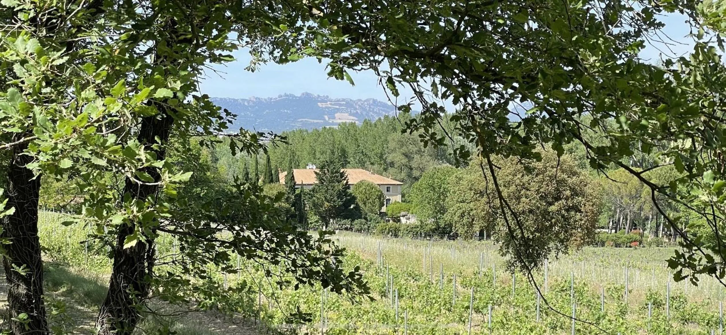 Other in Chateau Talaud