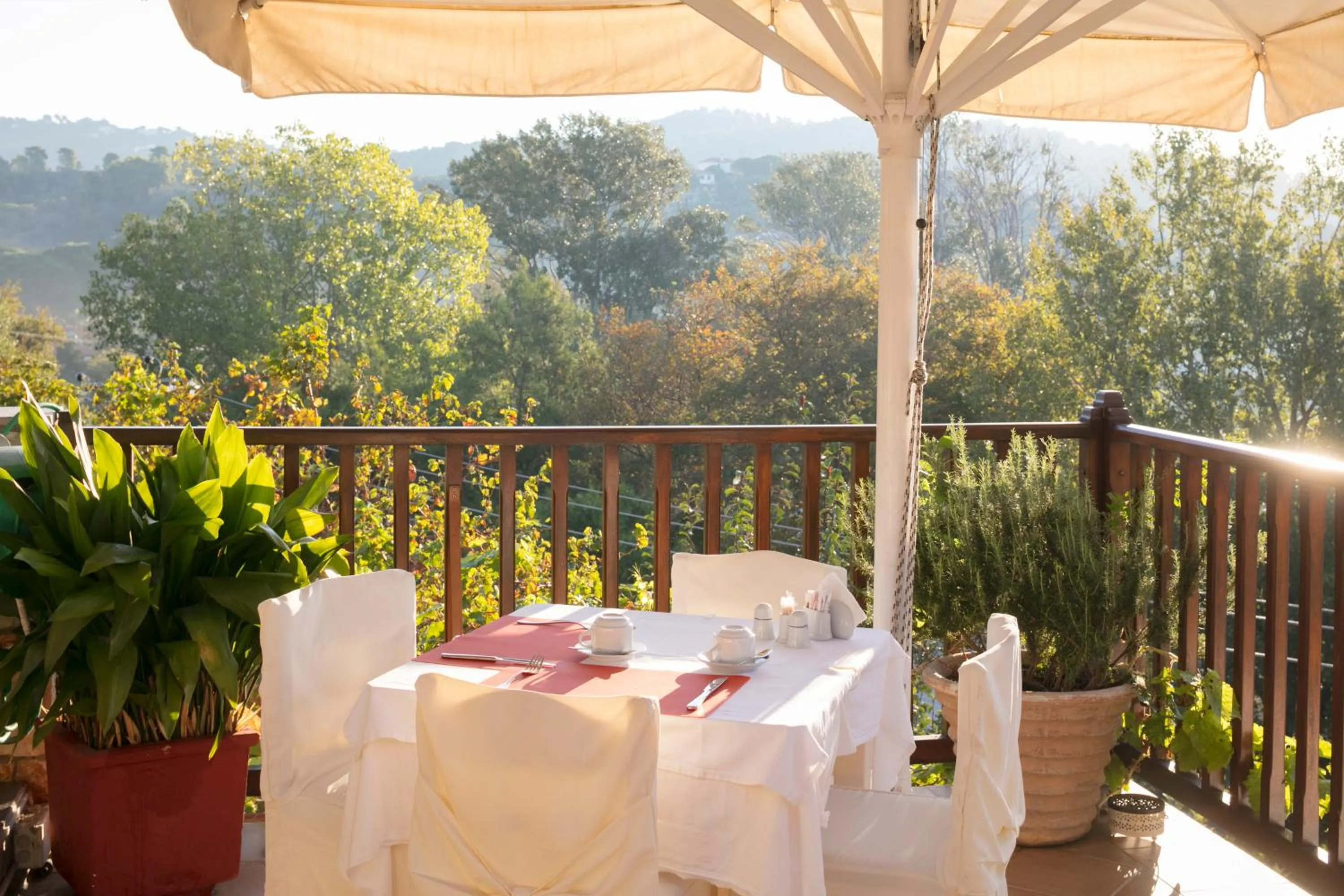 Restaurant/places to eat in Magic Hotel