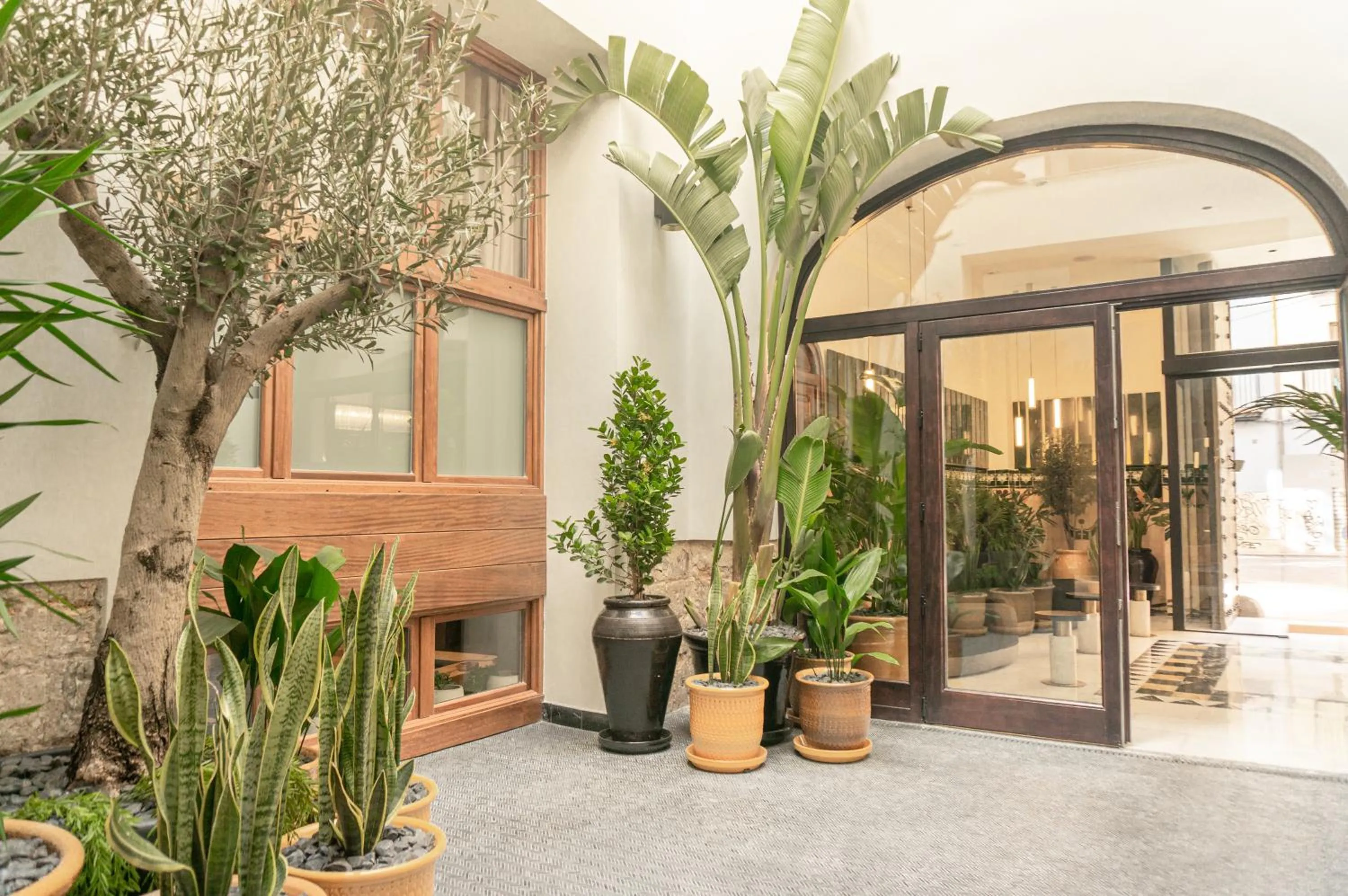 Patio in The Valentia Corretgería