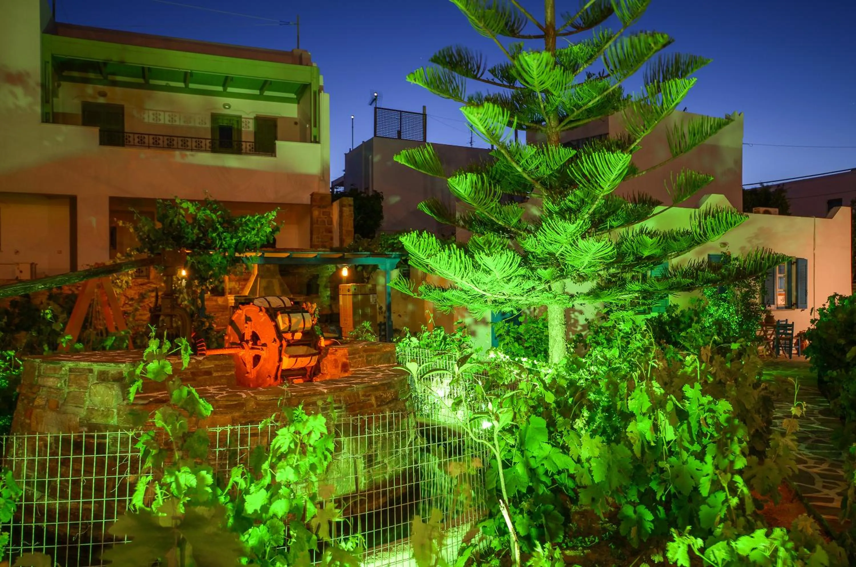 Garden in Agios Prokopios Hotel