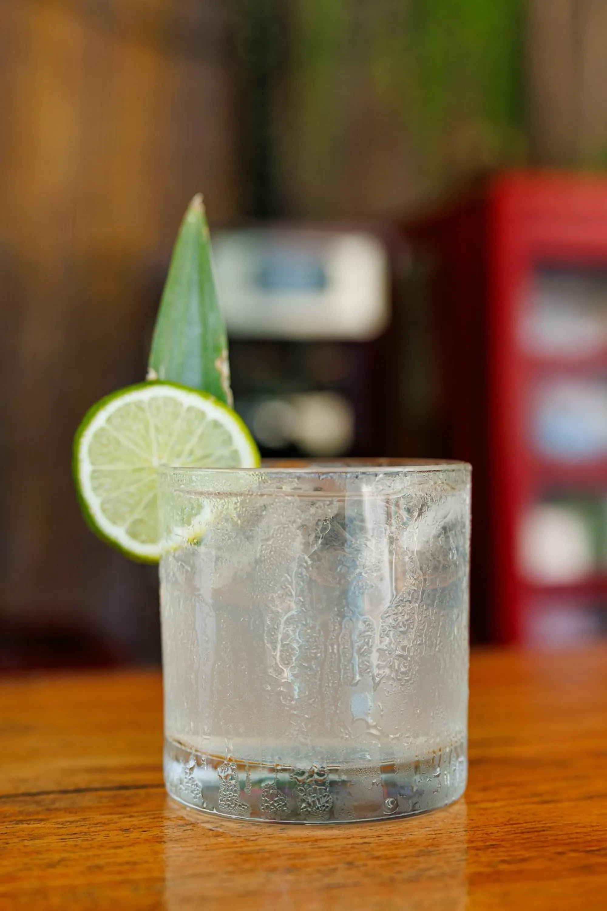 Alcoholic drinks in Hotel Planeta Sano