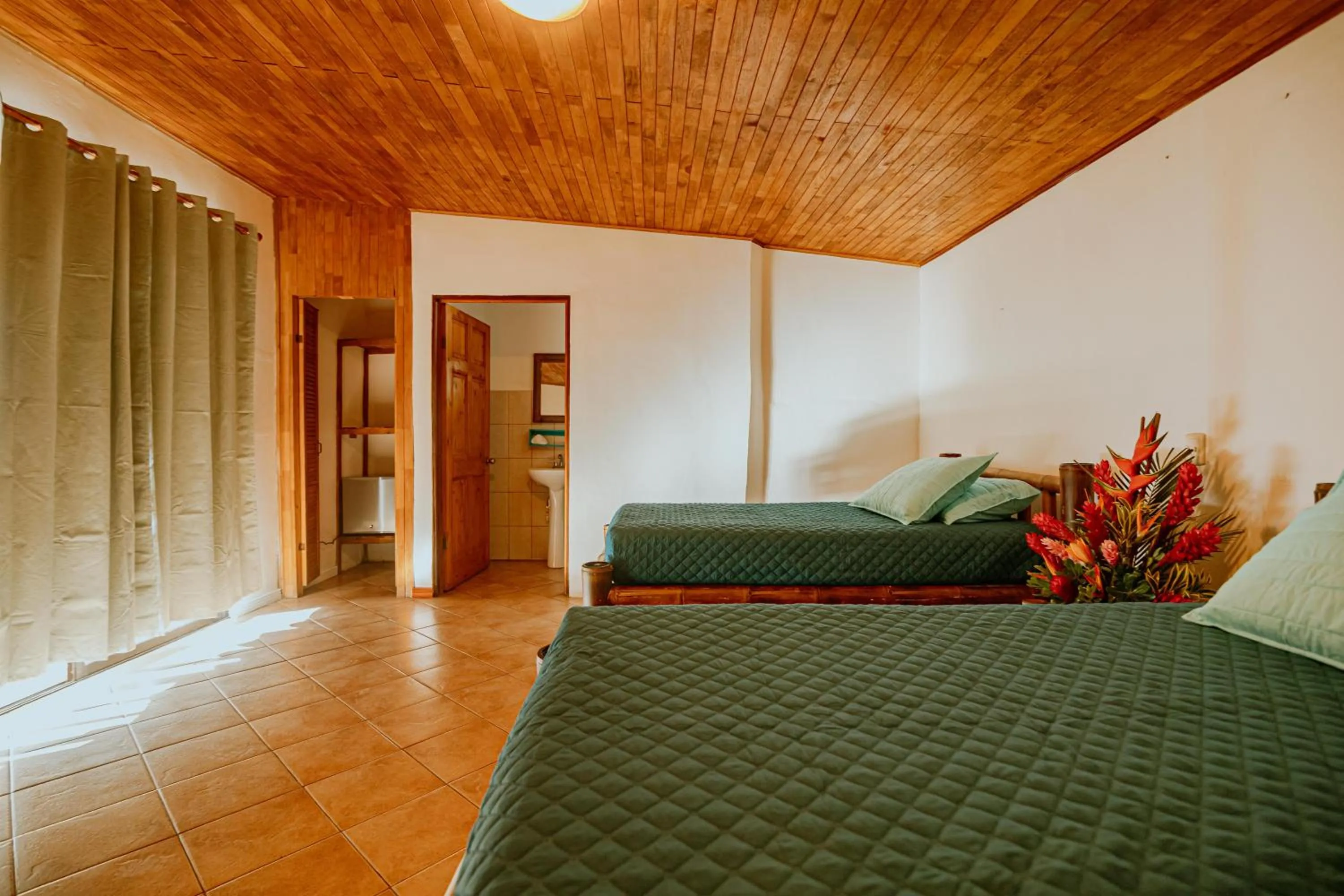 Standard Twin Room in Hotel Planeta Sano