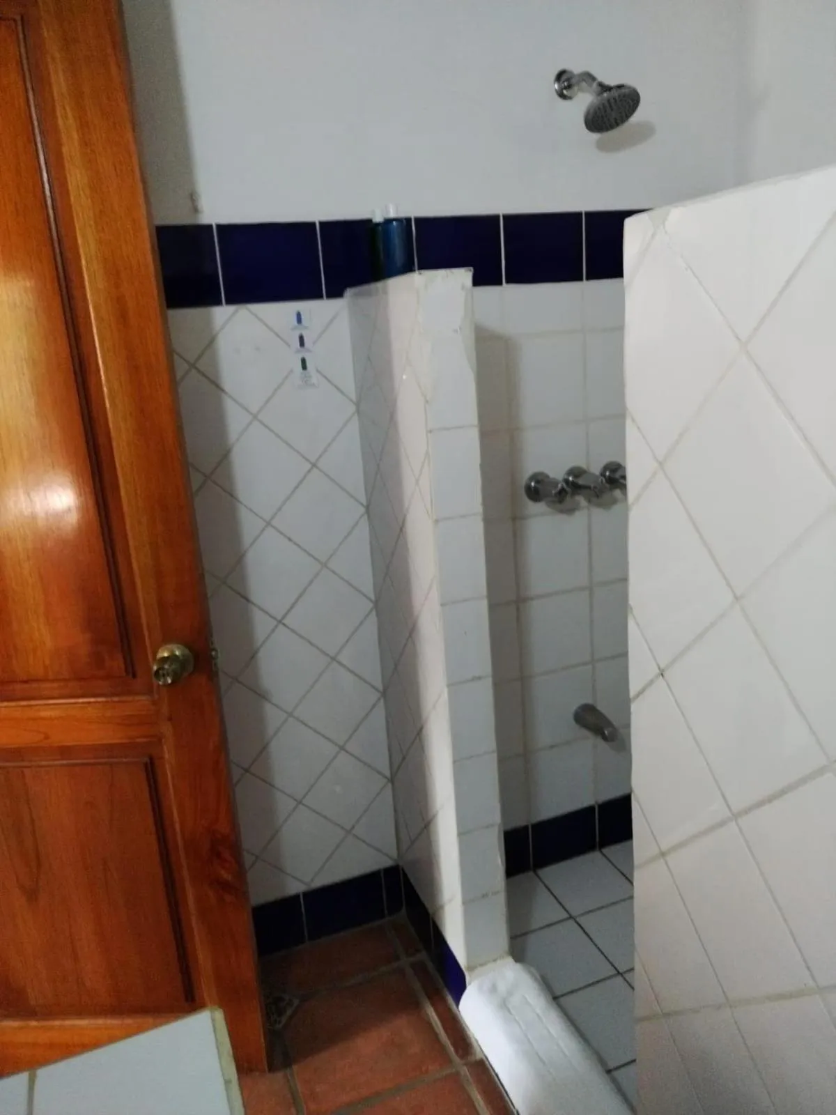 Shower in Hotel Planeta Sano