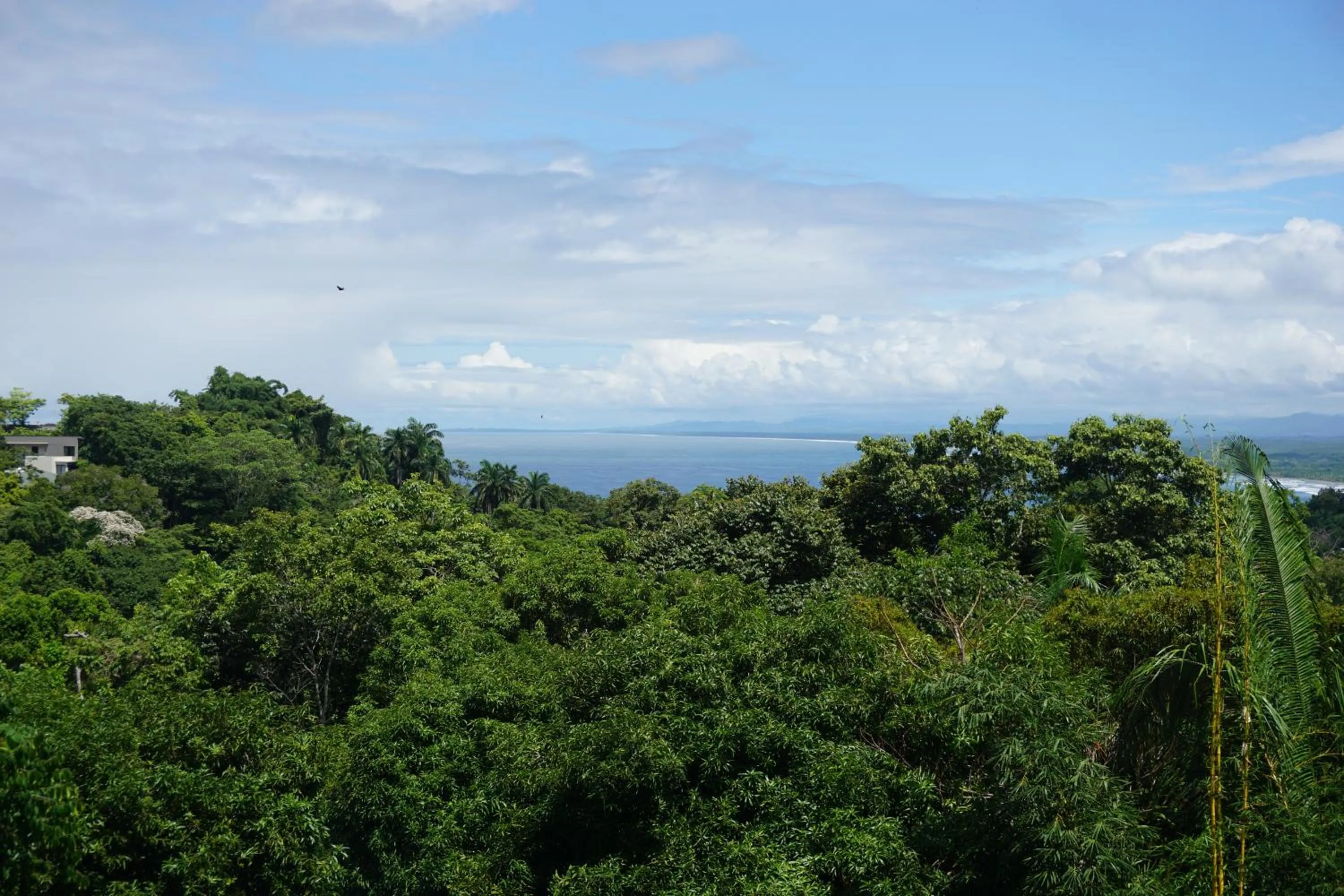 Mountain view in Hotel Planeta Sano
