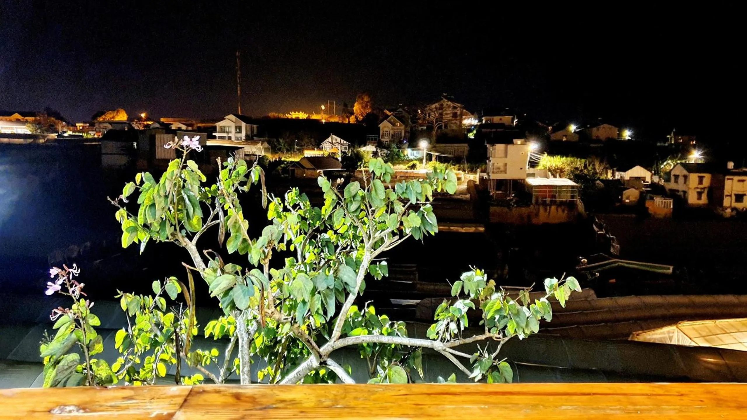 City view in Nhà Sói Homestay Da Lat