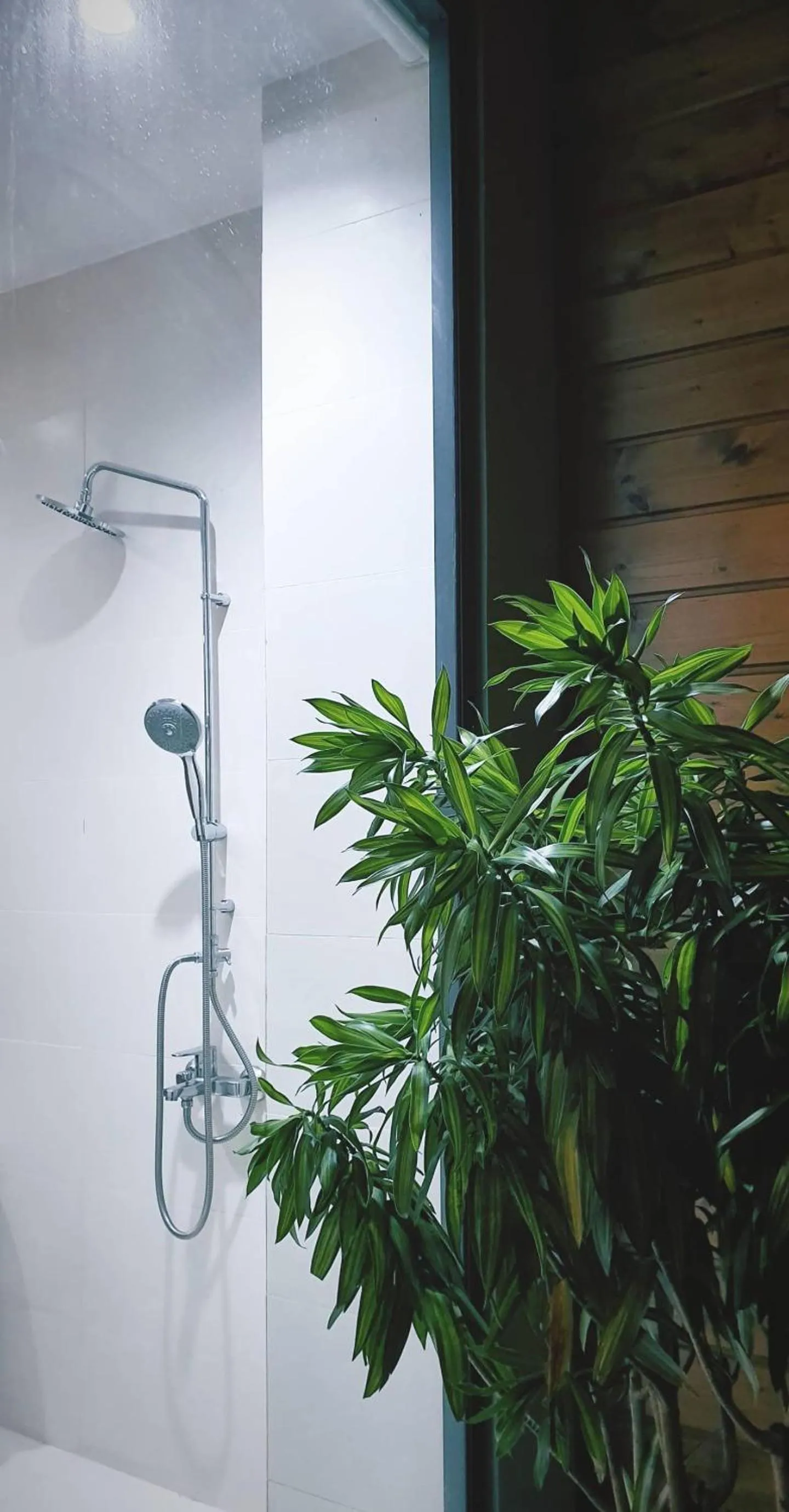 Bathroom in Nhà Sói Homestay Da Lat