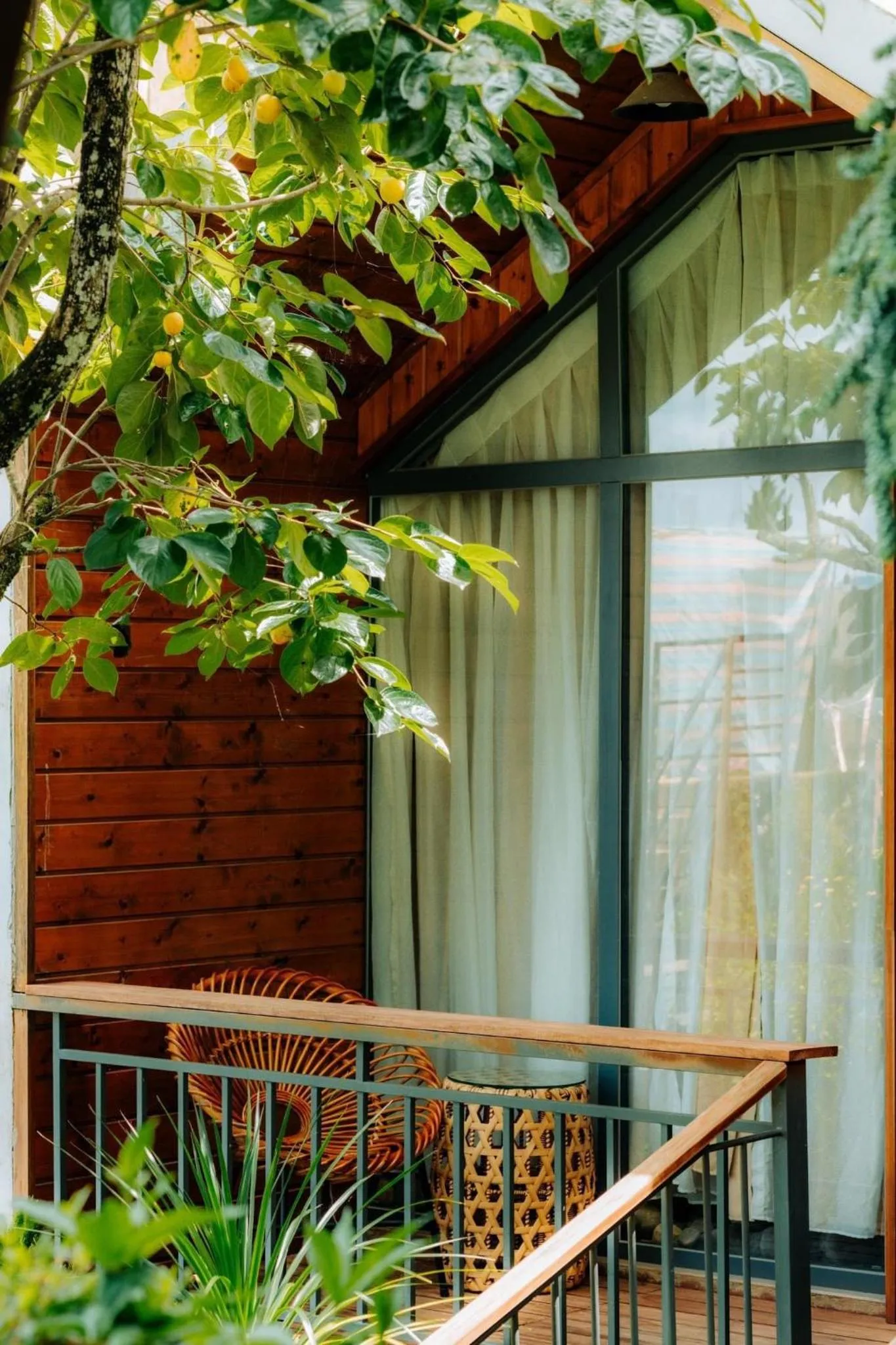 Garden in Nhà Sói Homestay Da Lat