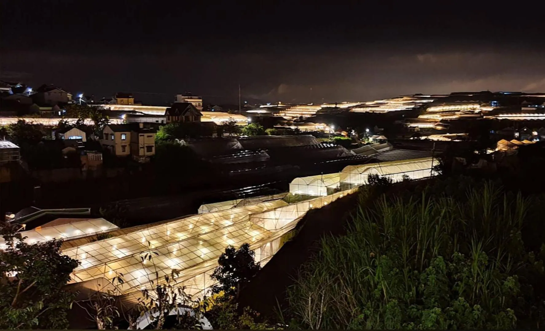 Night in Nhà Sói Homestay Da Lat