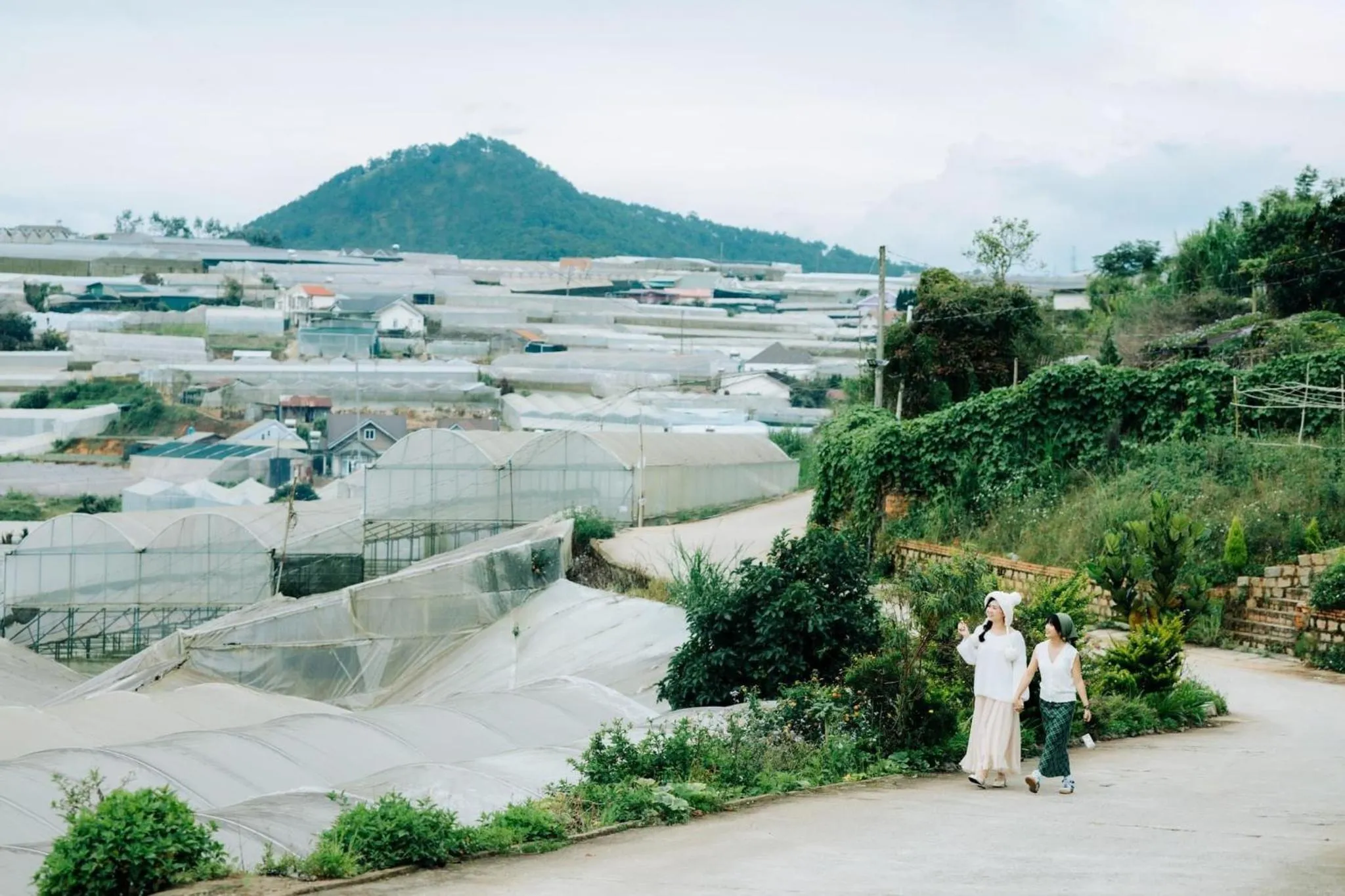 View (from property/room) in Nhà Sói Homestay Da Lat