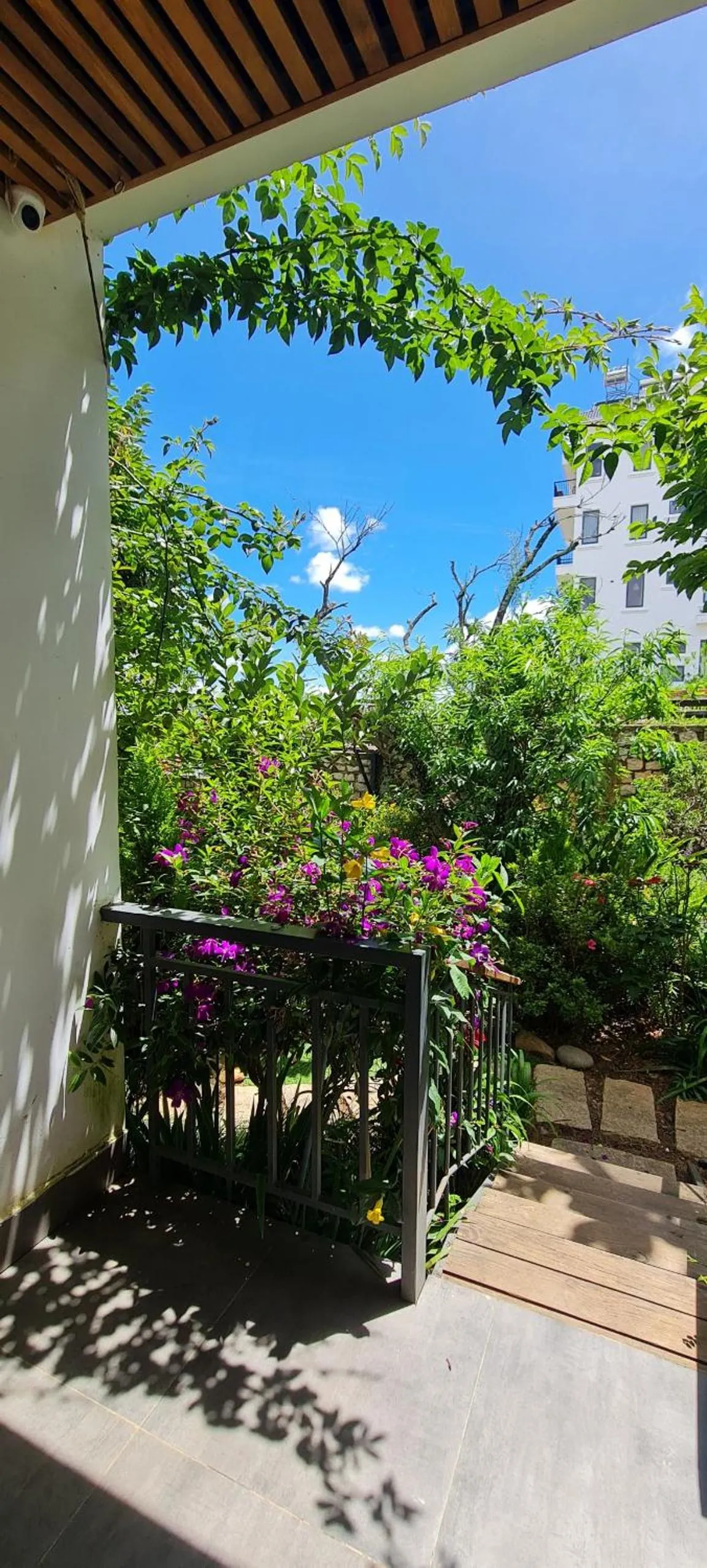 Garden in Nhà Sói Homestay Da Lat