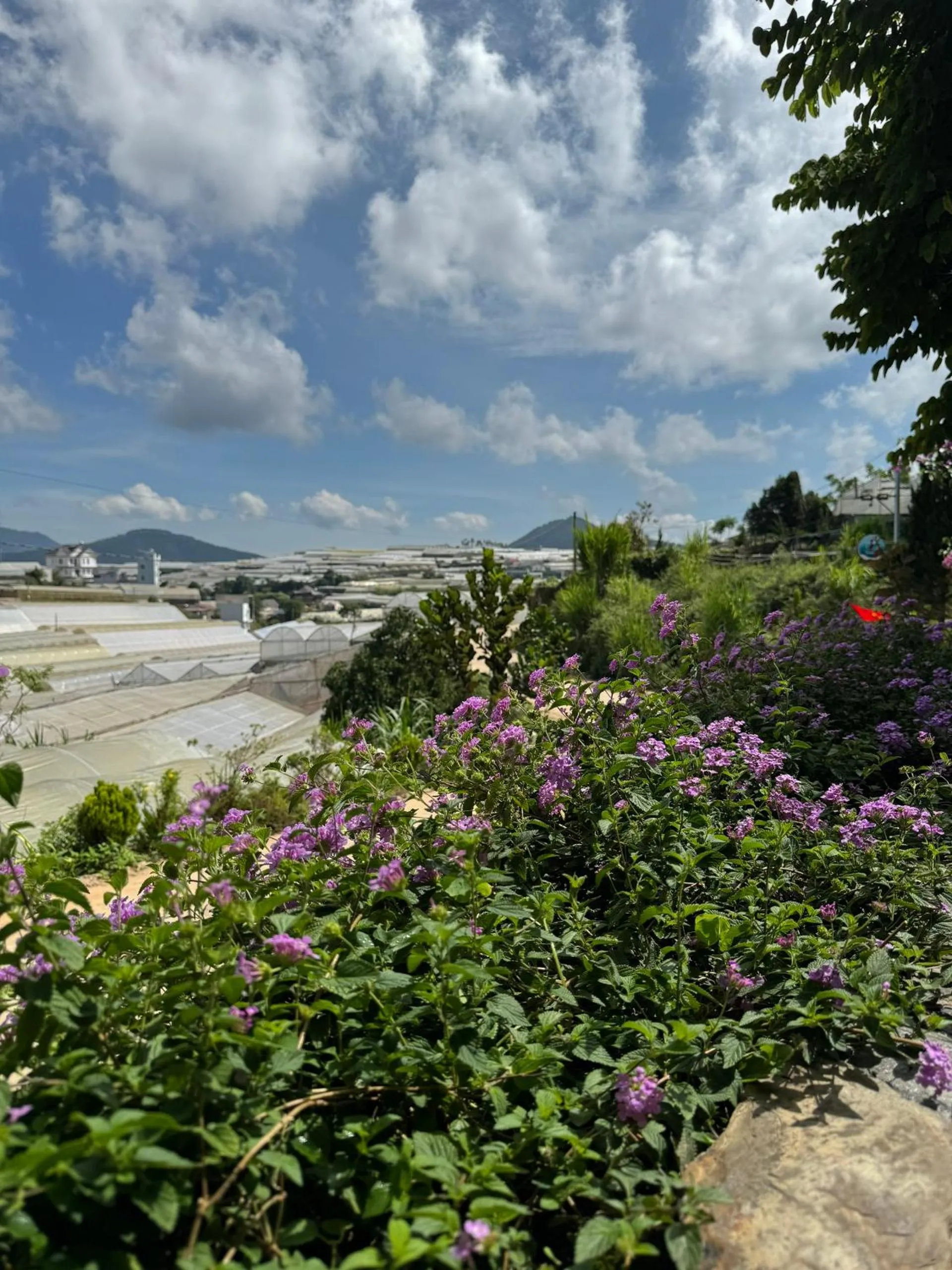 Garden in Nhà Sói Homestay Da Lat