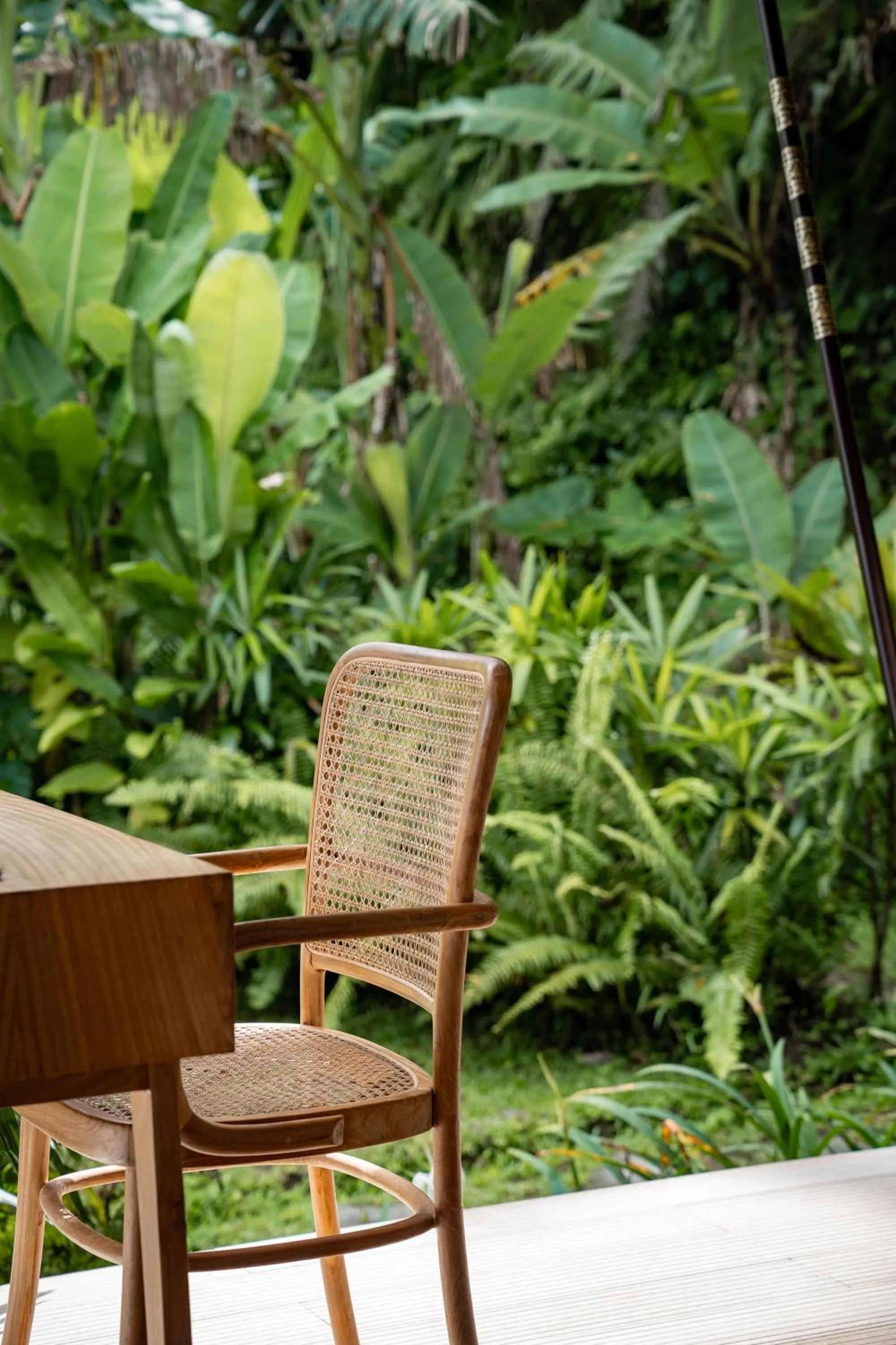 Garden in Nadi Nature Resort - Adults Only