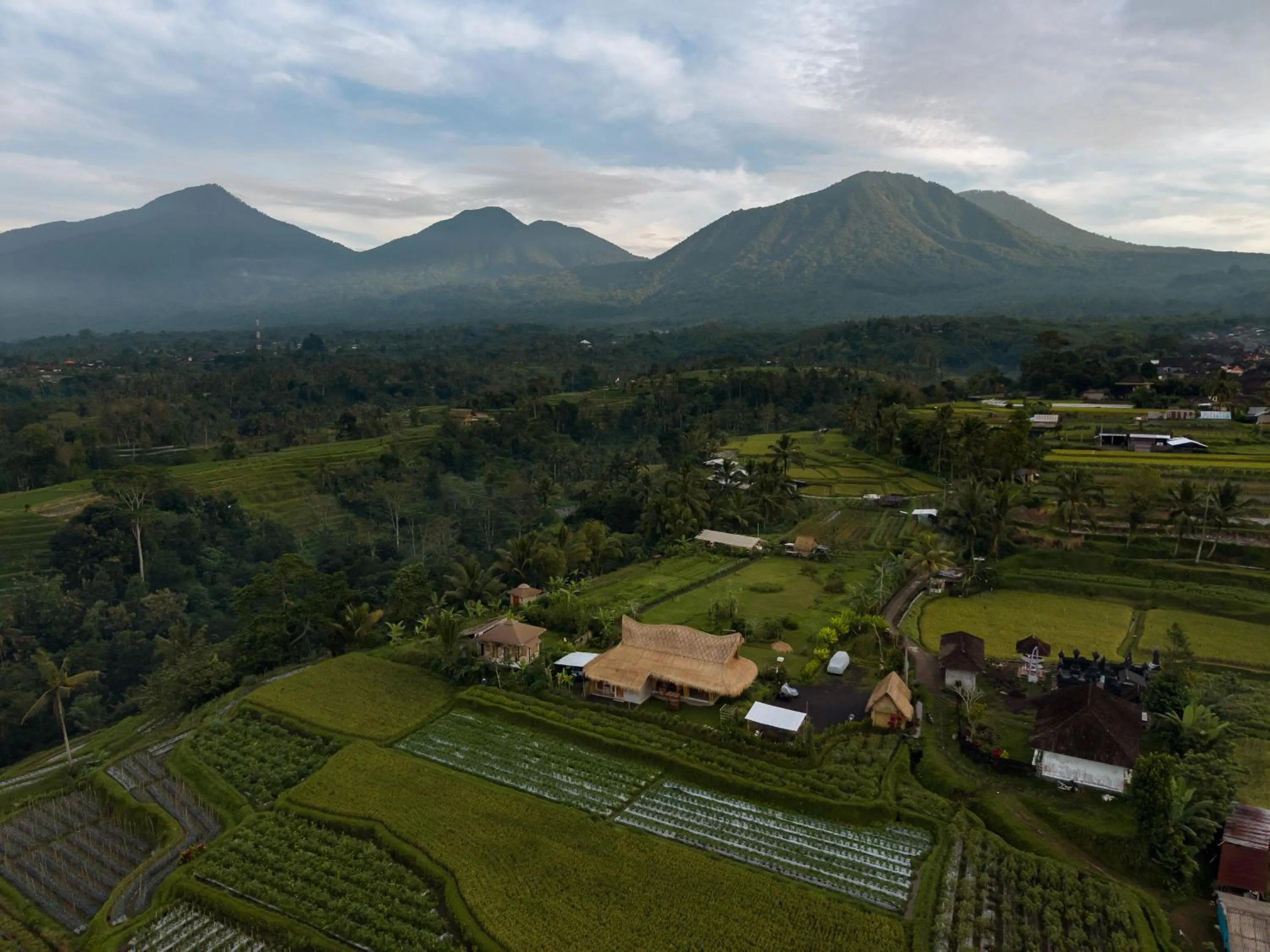 Nadi Nature Resort - Adults Only