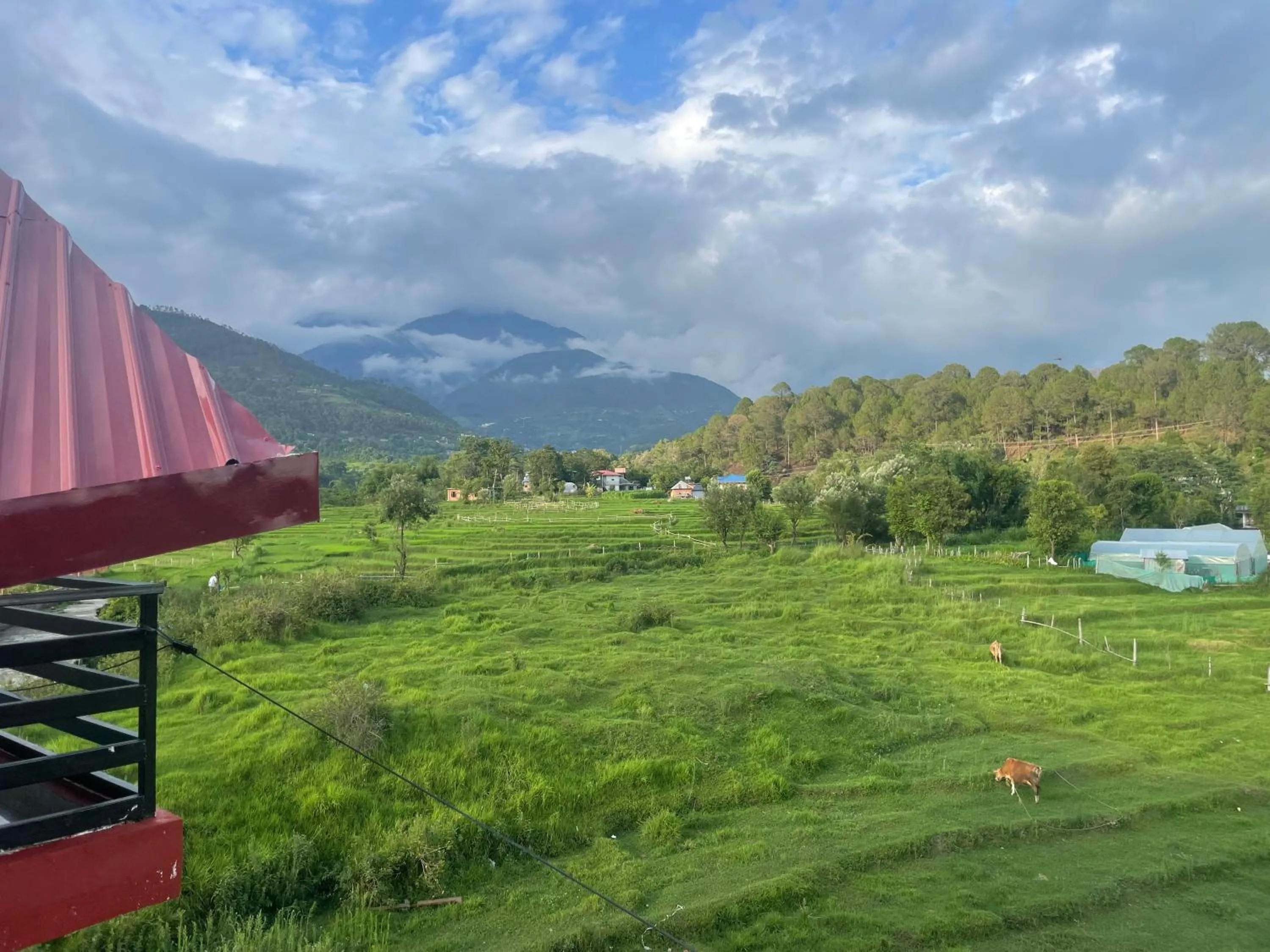 Day in Himalayan Retreat