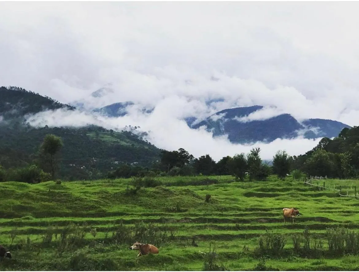 View (from property/room) in Himalayan Retreat