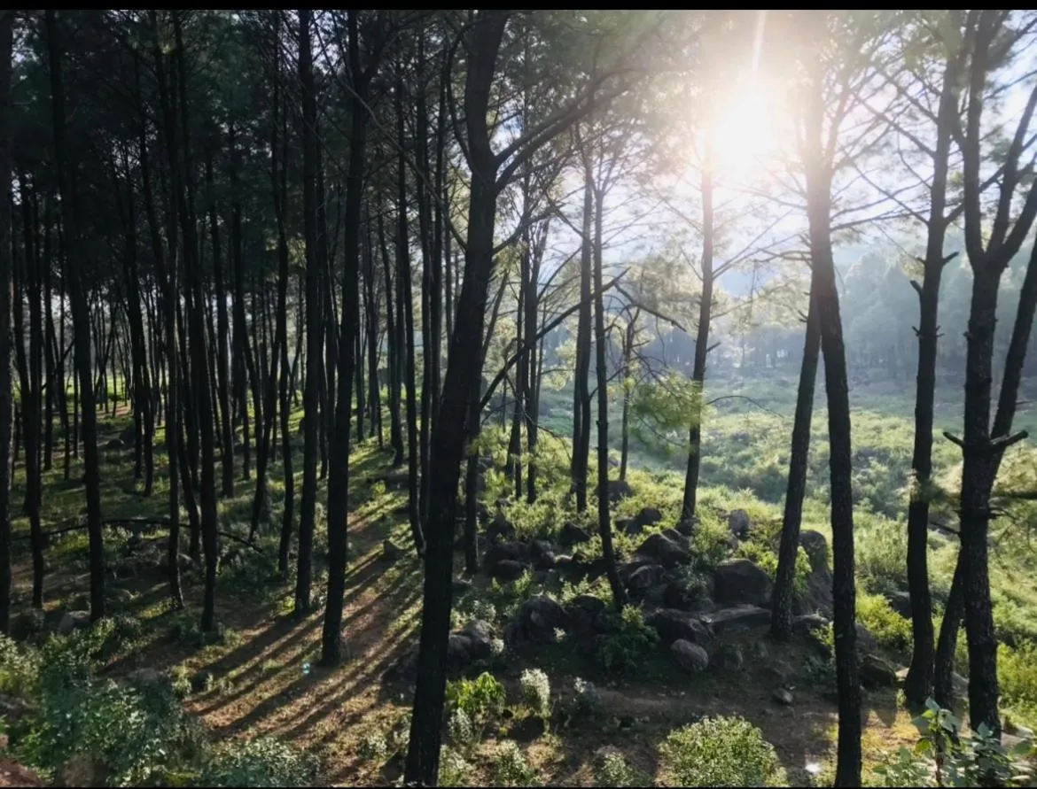 View (from property/room) in Himalayan Retreat
