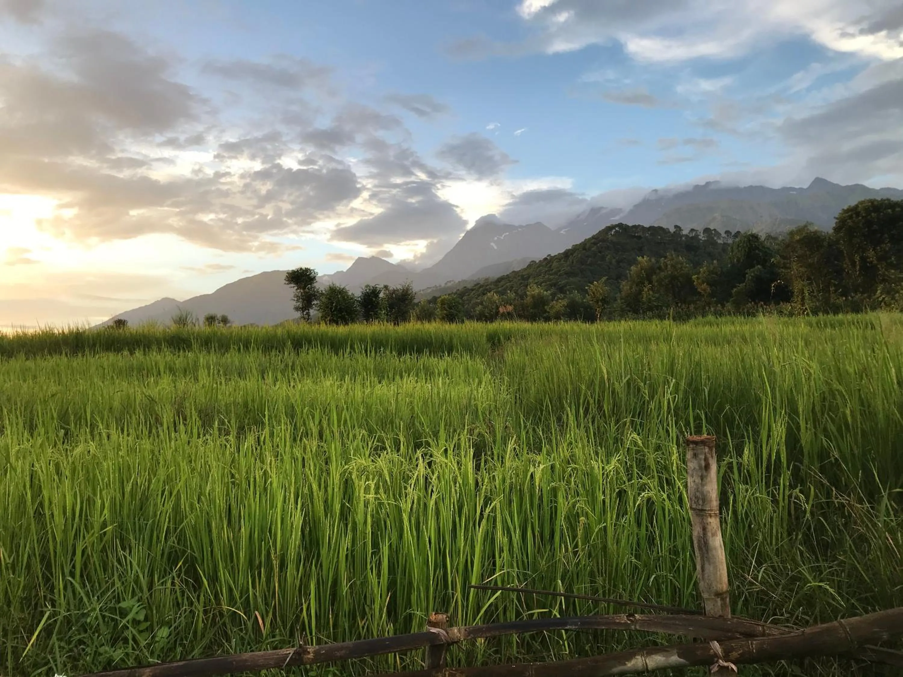 Natural landscape in Himalayan Retreat