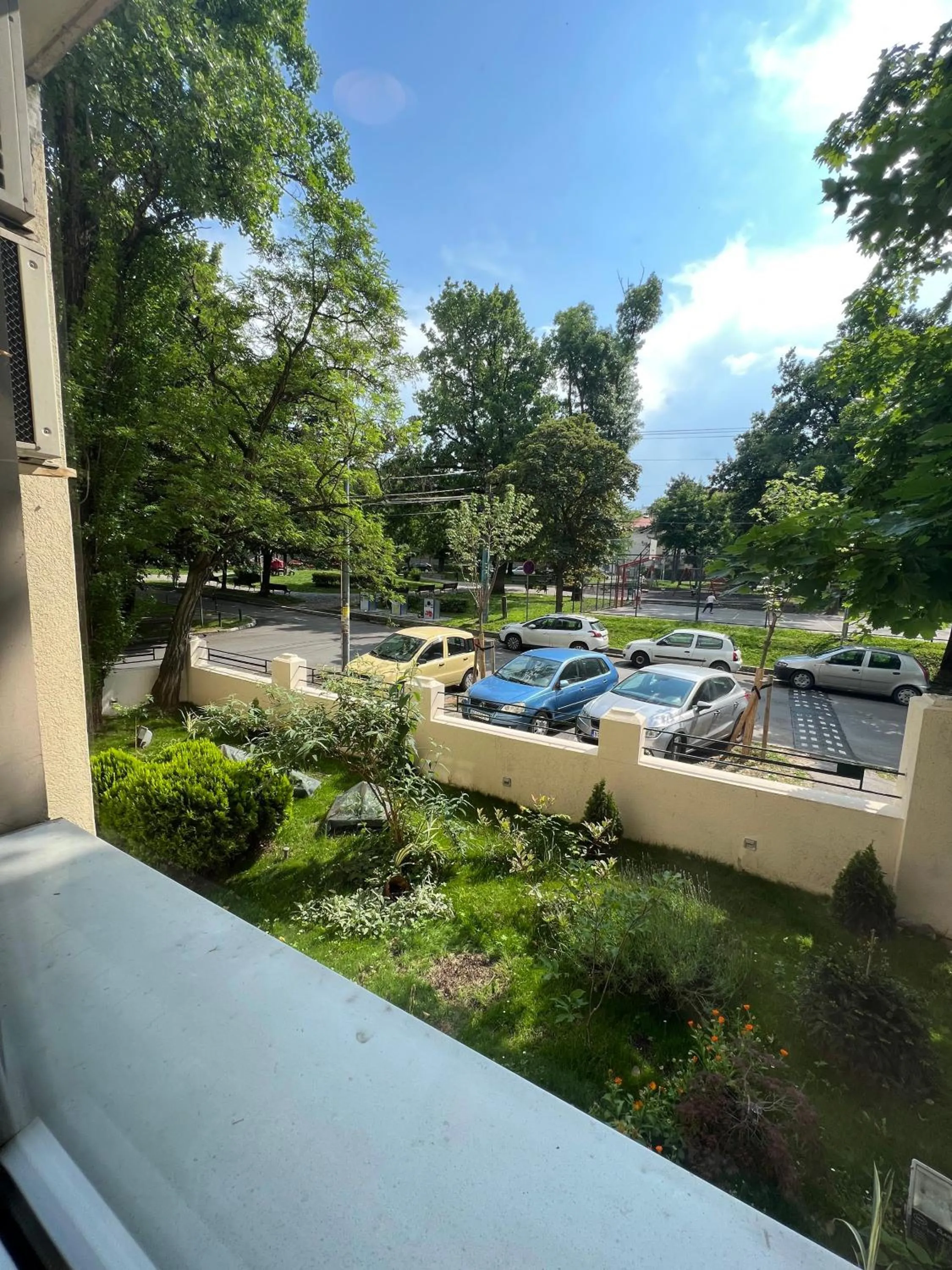 Garden in Cabbage Hostel