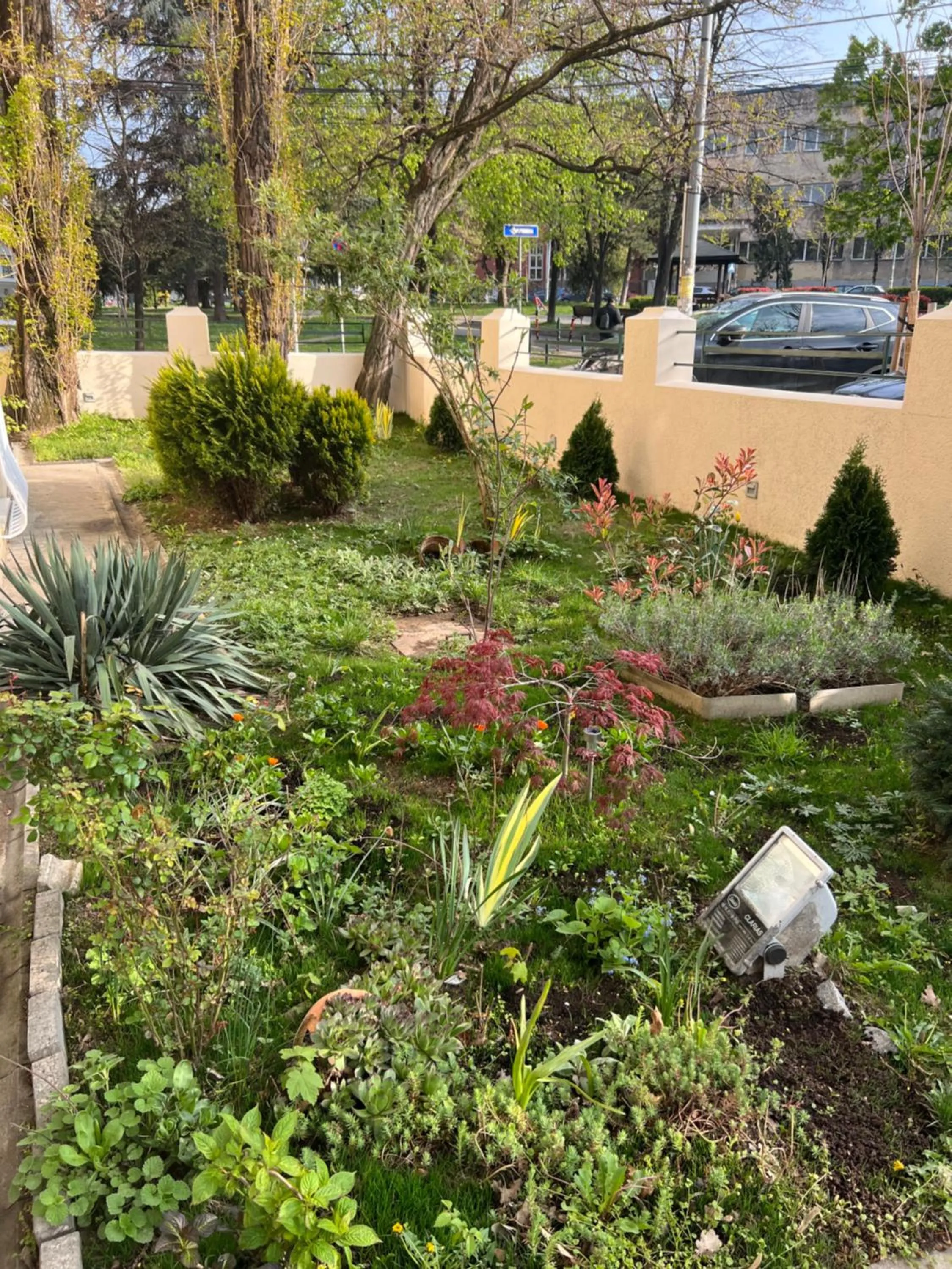 Spring in Cabbage Hostel