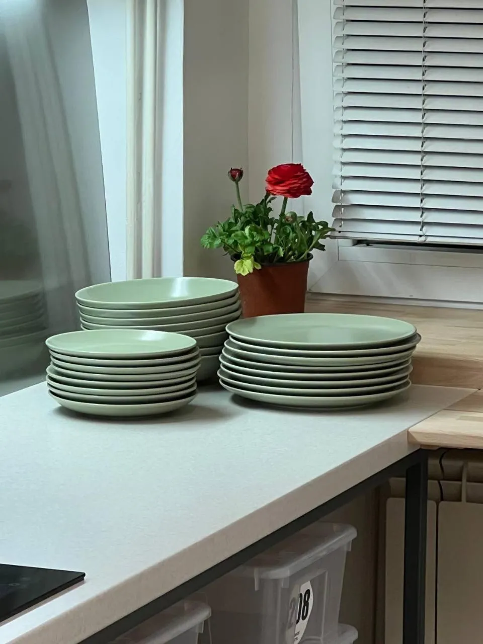 Kitchen or kitchenette in Cabbage Hostel