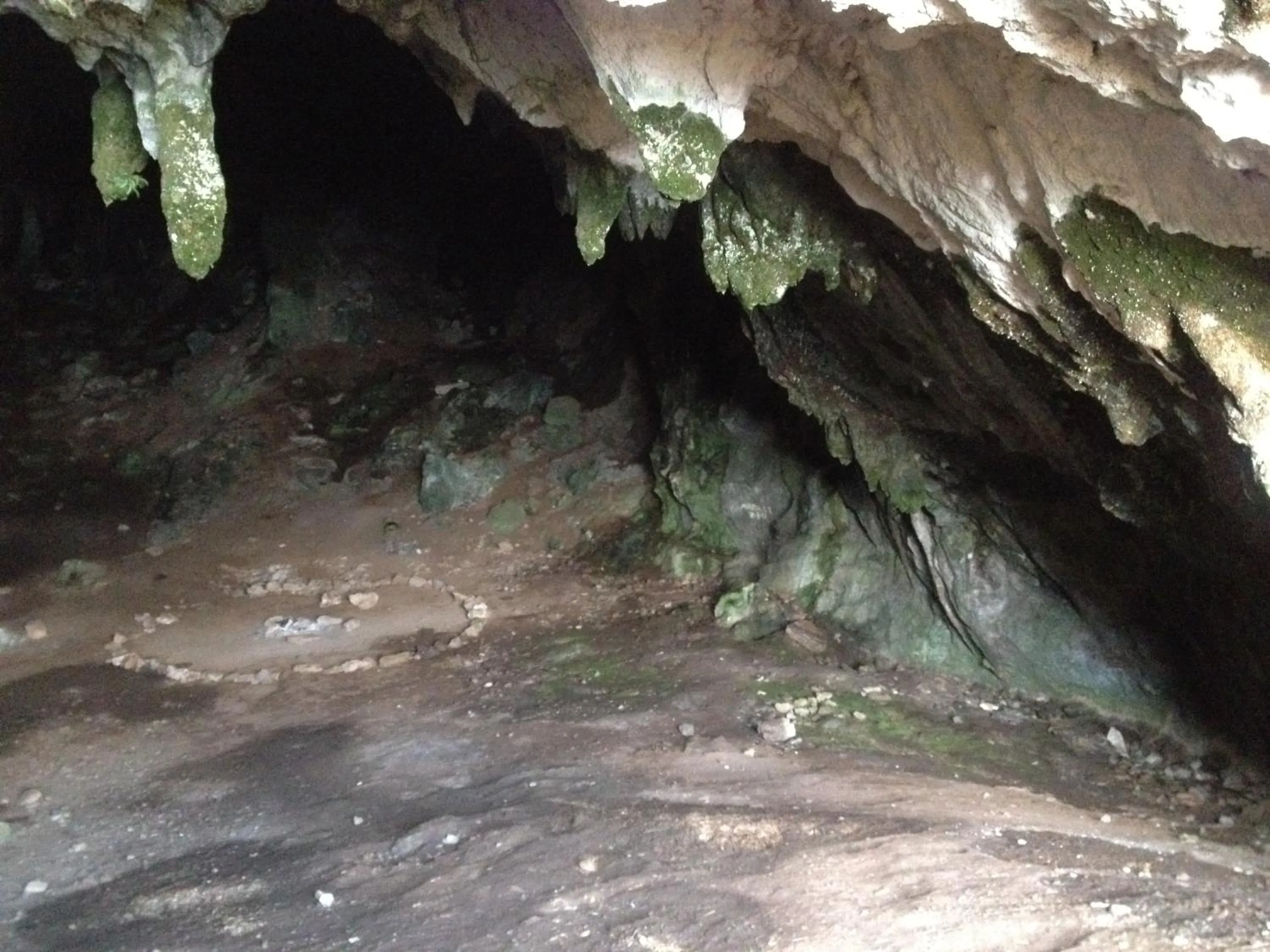 Nearby landmark in Parnassos Delphi Hotel