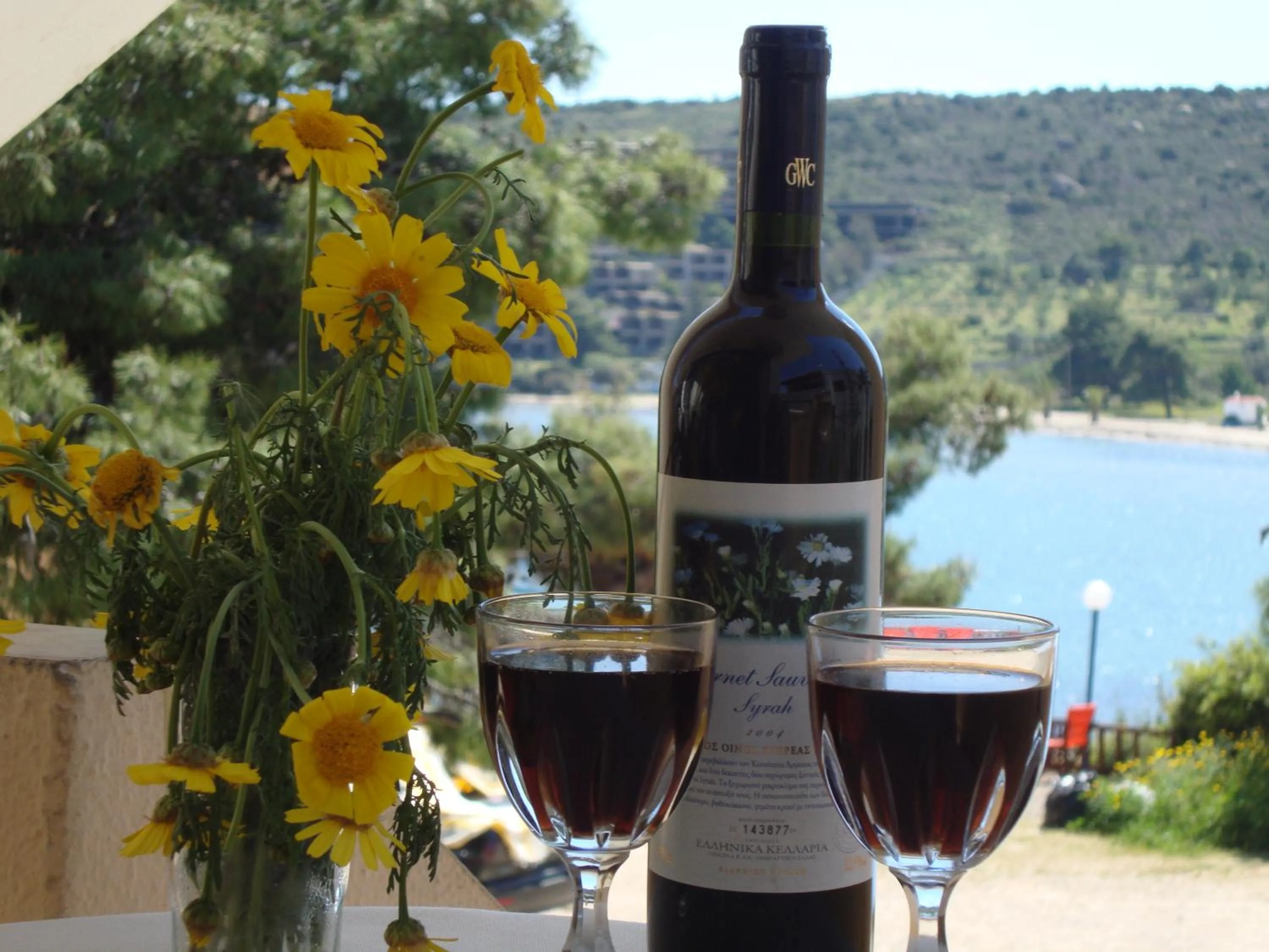 Balcony/Terrace in Rachel Hotel