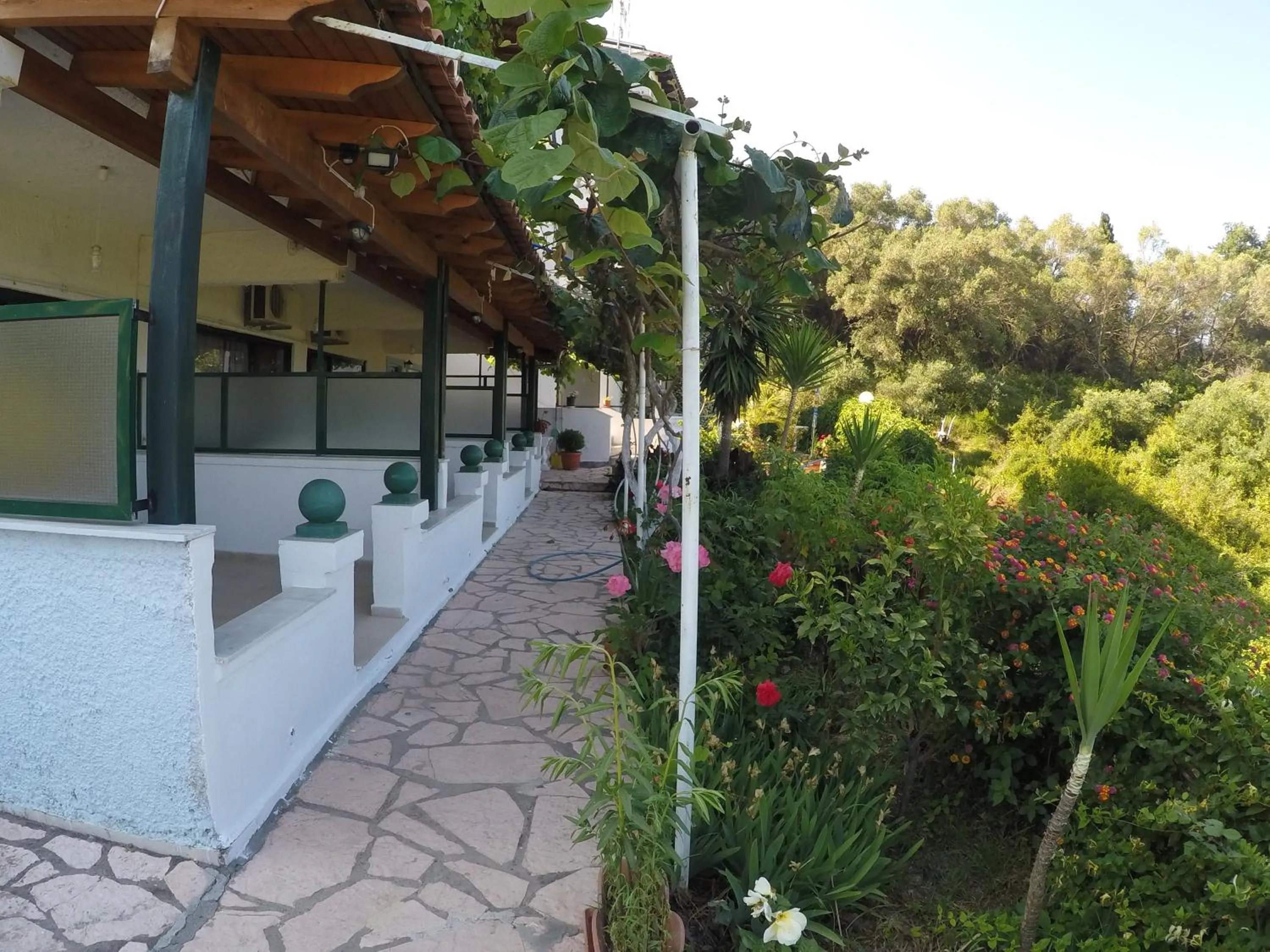 Garden in Corfu Andromaches Holiday Apartments