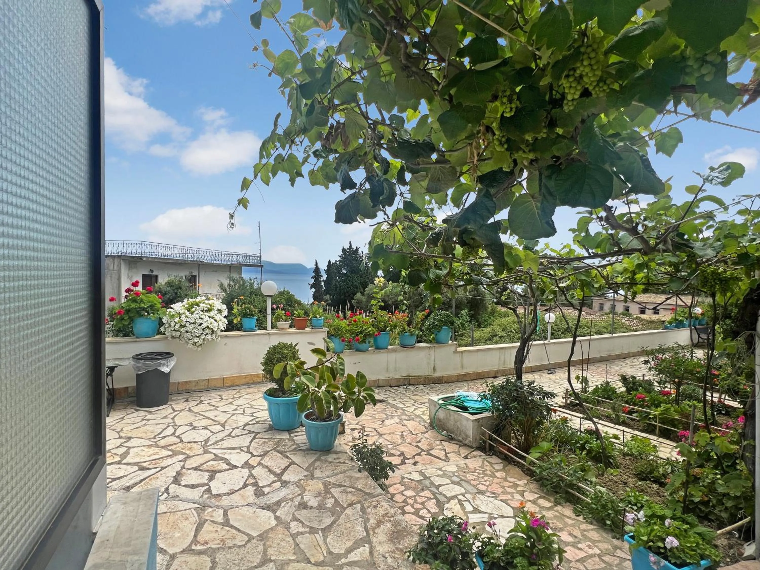 Day in Corfu Andromaches Holiday Apartments