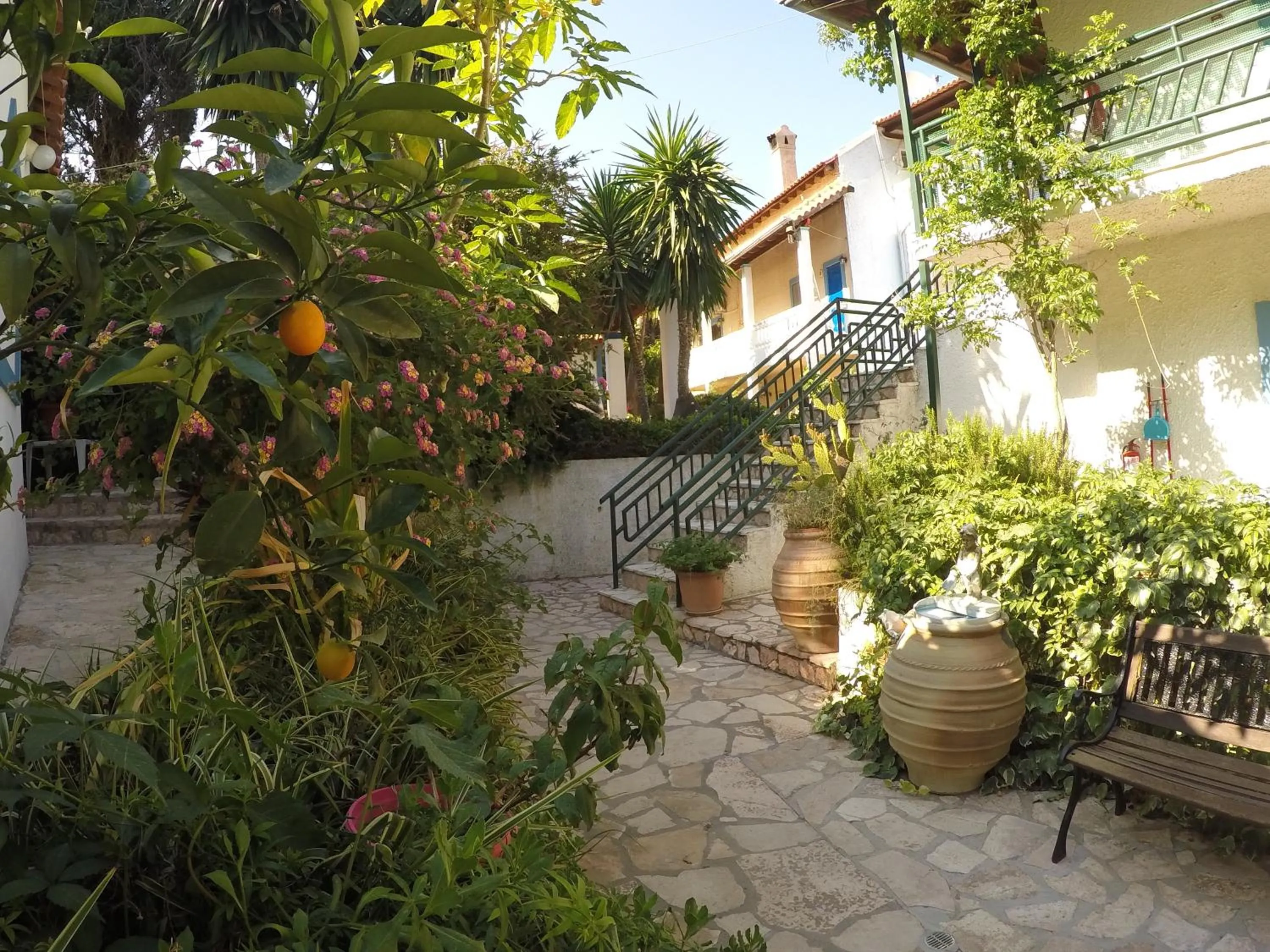 Garden in Corfu Andromaches Holiday Apartments