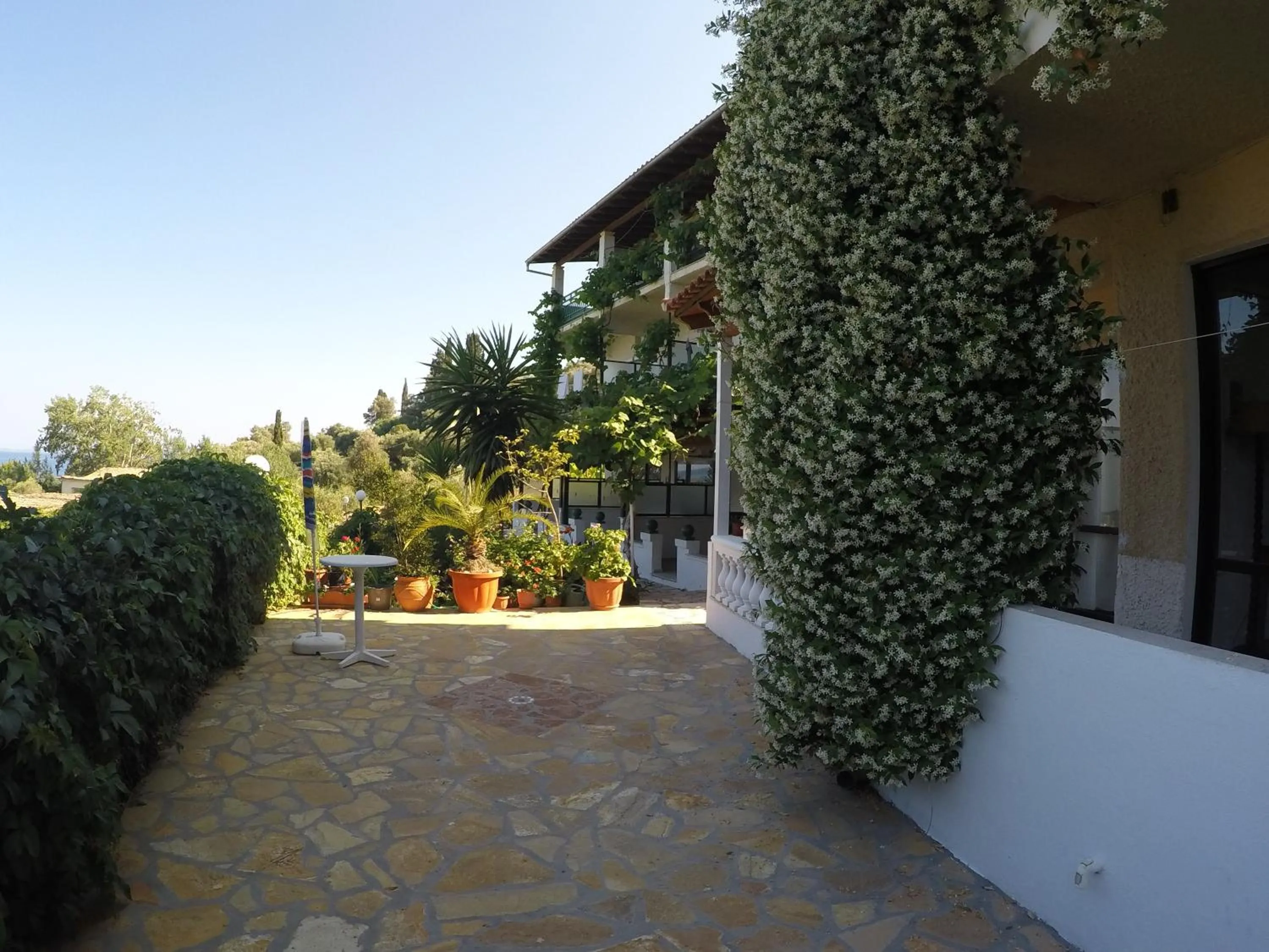 Garden in Corfu Andromaches Holiday Apartments
