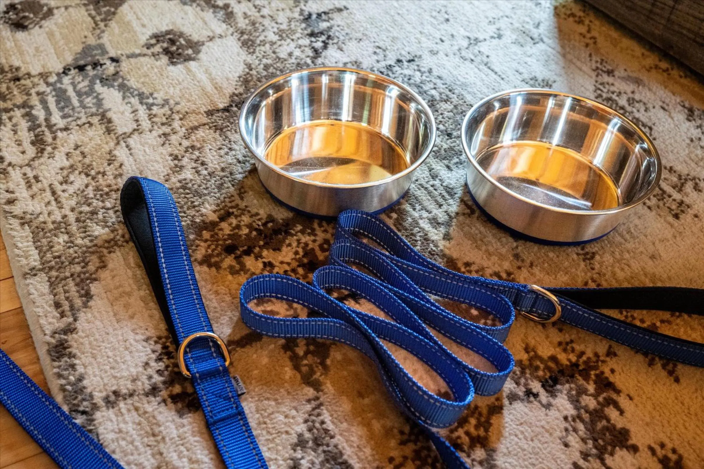 Pets in Love Me Tender Studio Cabin